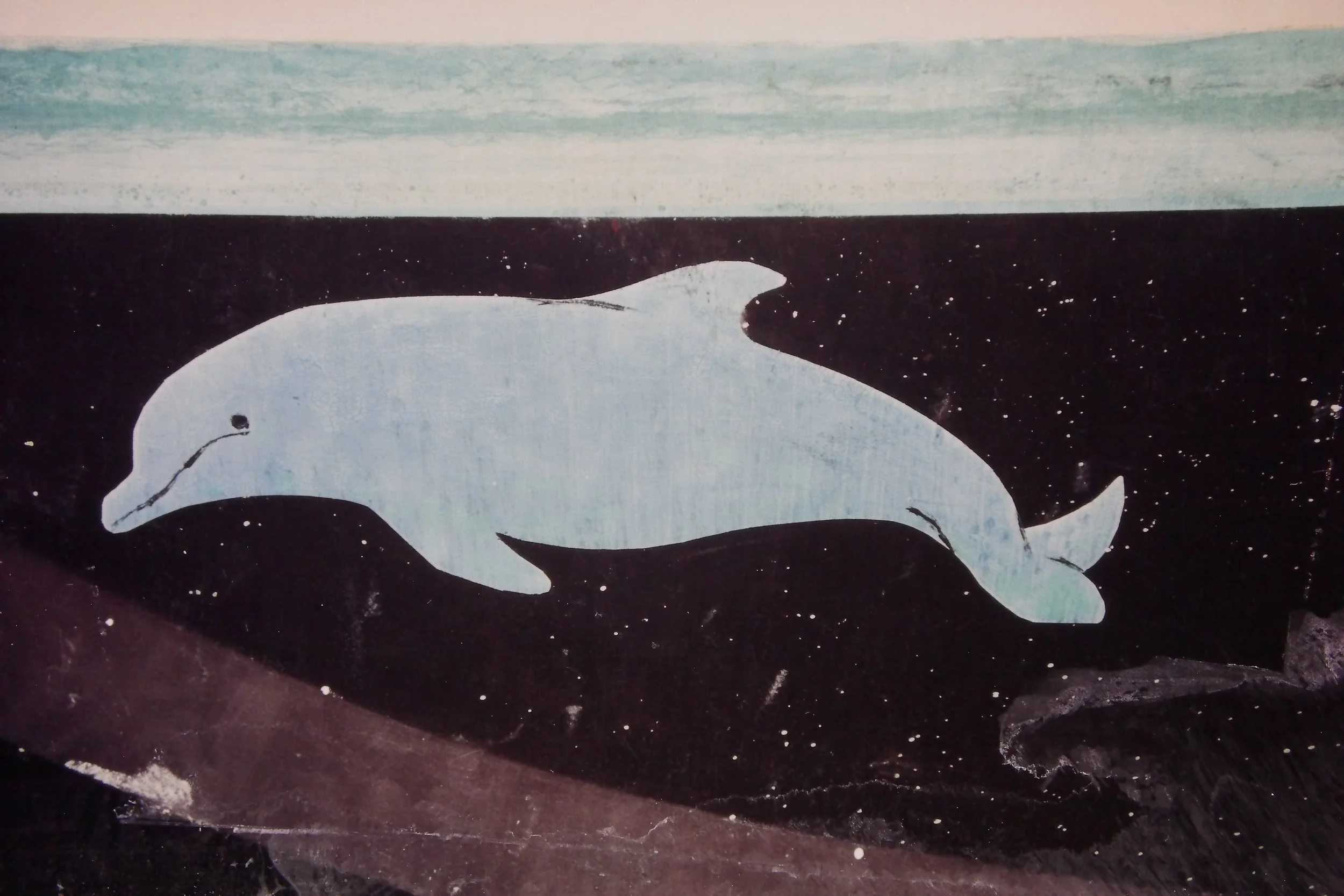  We still had our dolphins years later, in WA! They had to haul the boat out to check things out after hitting a small rock. Luckily it was minimal damage along the led portion of the keel.  