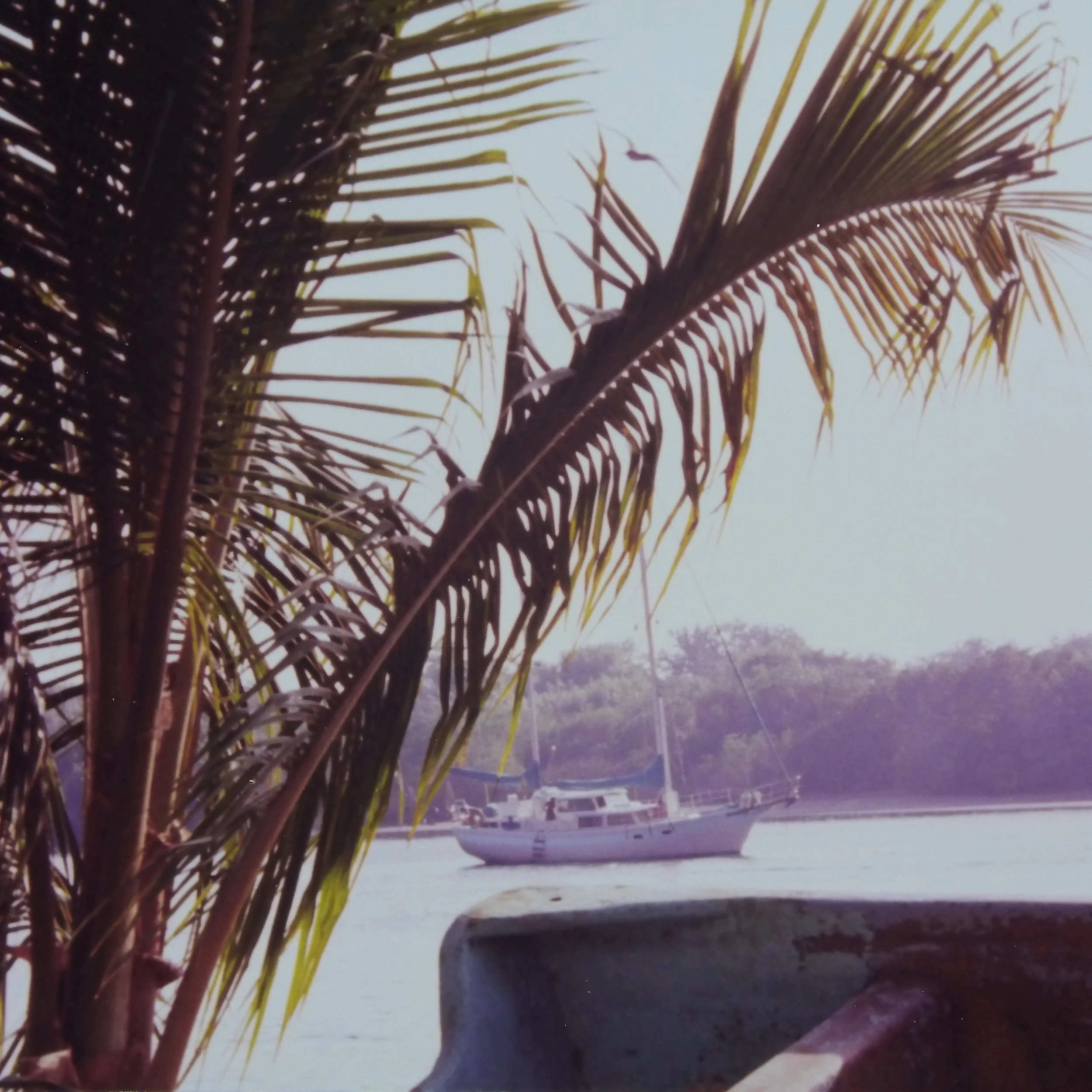 Wandrin' Star in the San Blas estuary