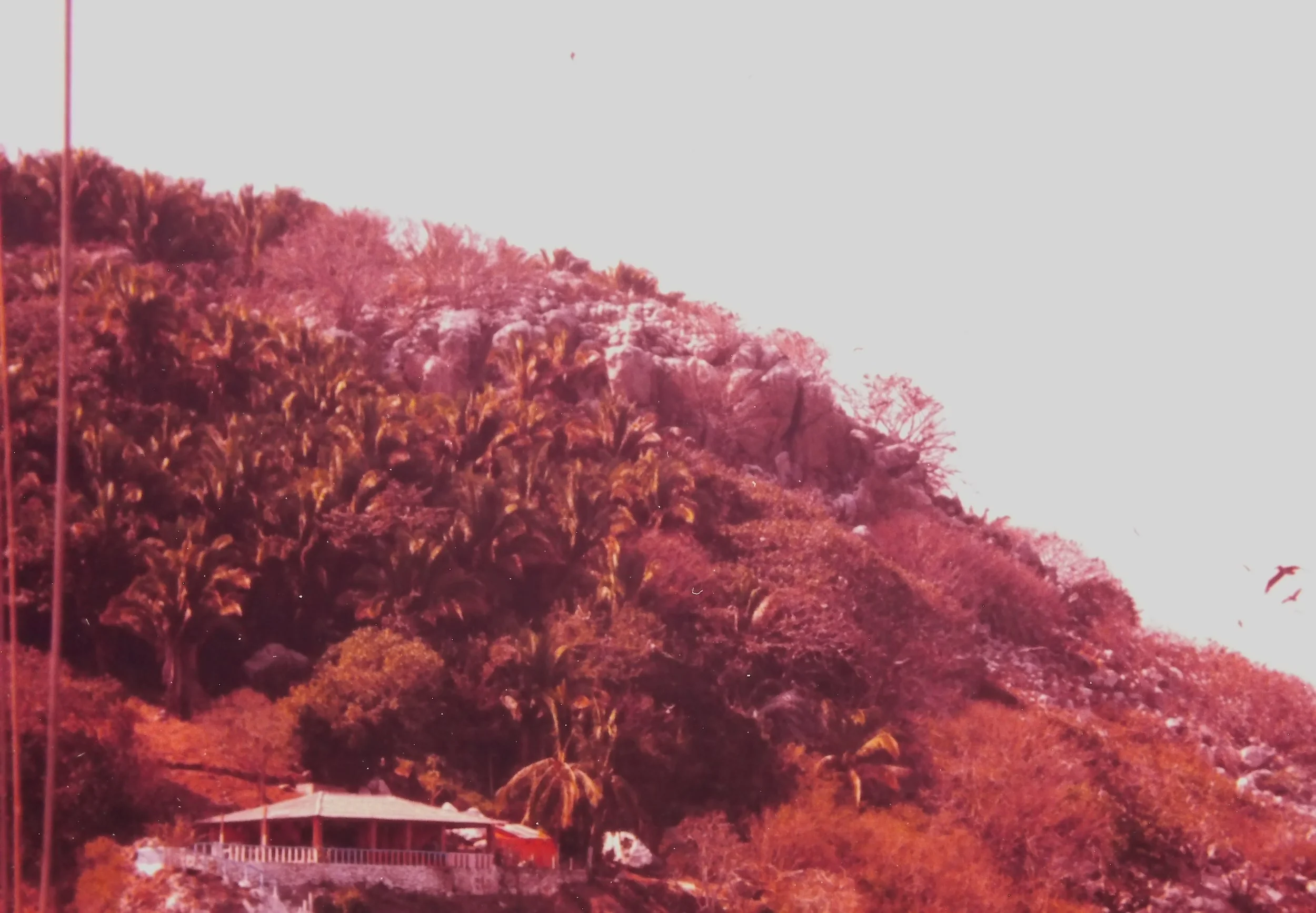 Coral Island at Jaletembra
