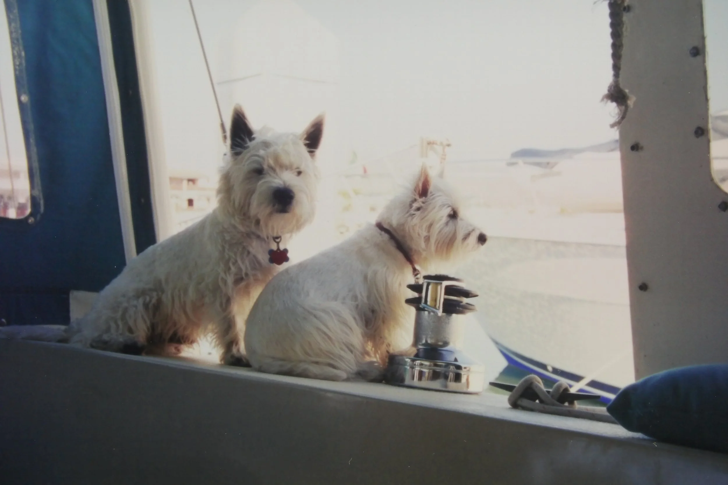 12.00 Seager & Maggie in San Carlos.JPG