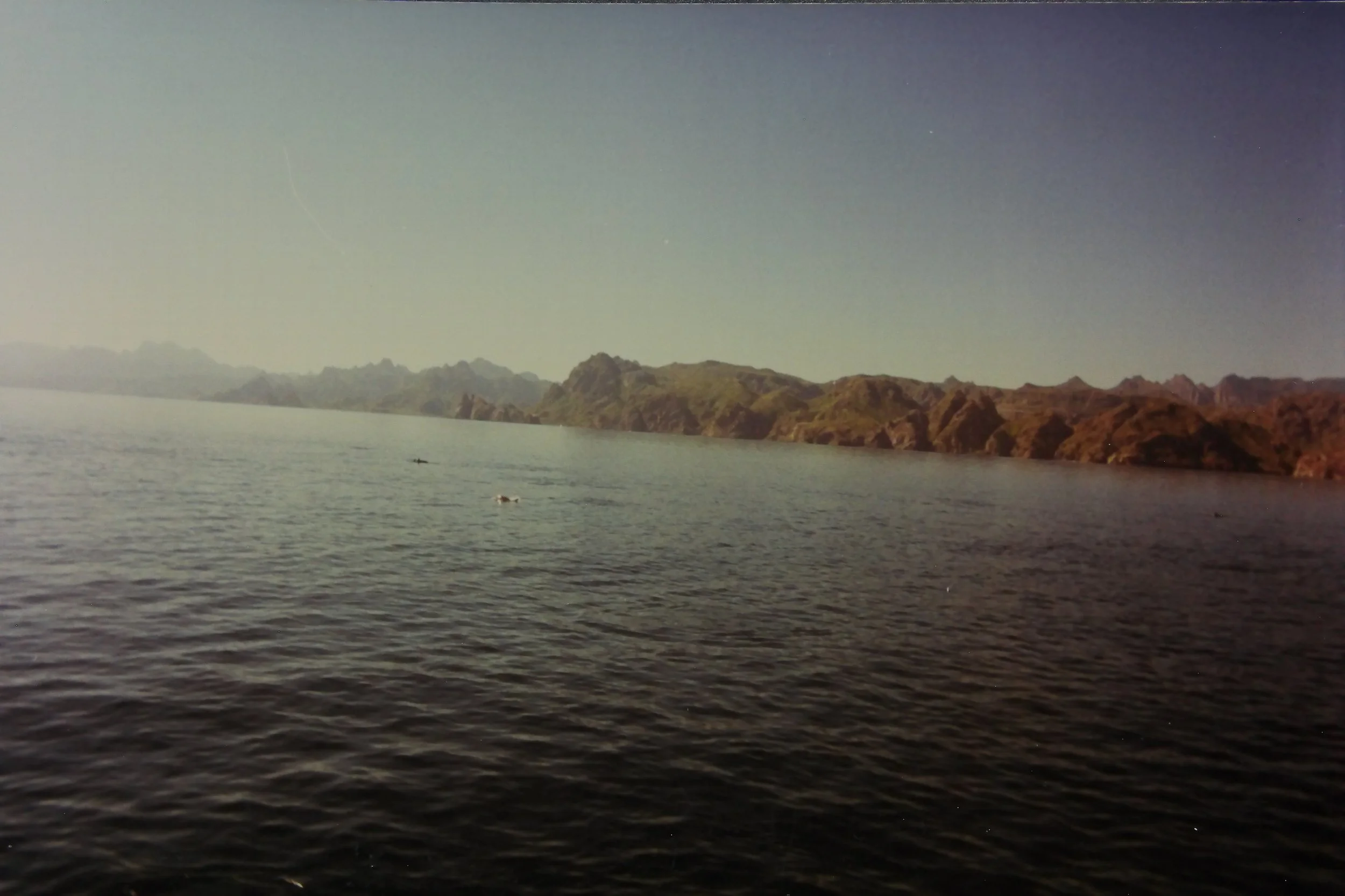 IMAG0068.JPG