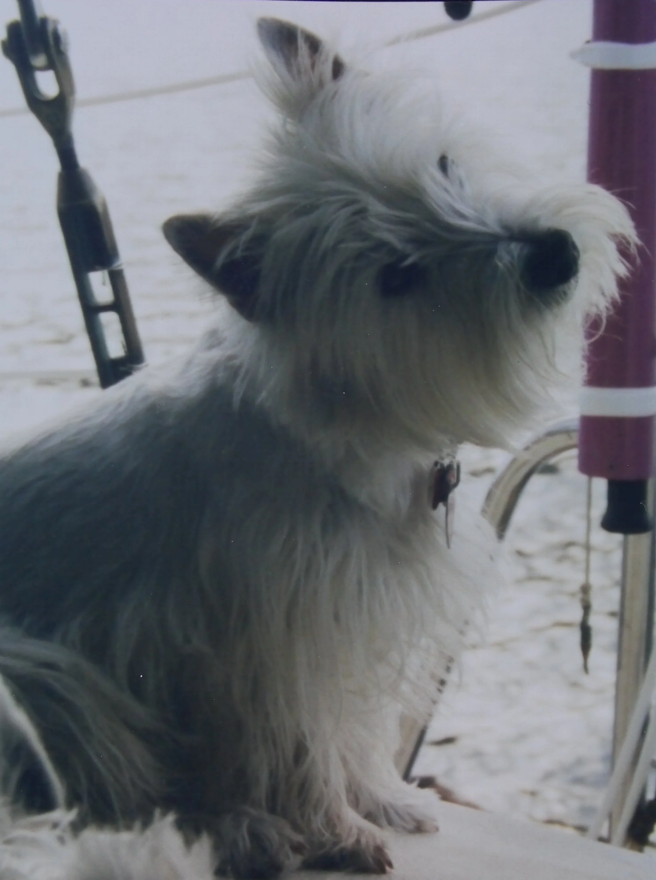4.5.05+Maggie.png