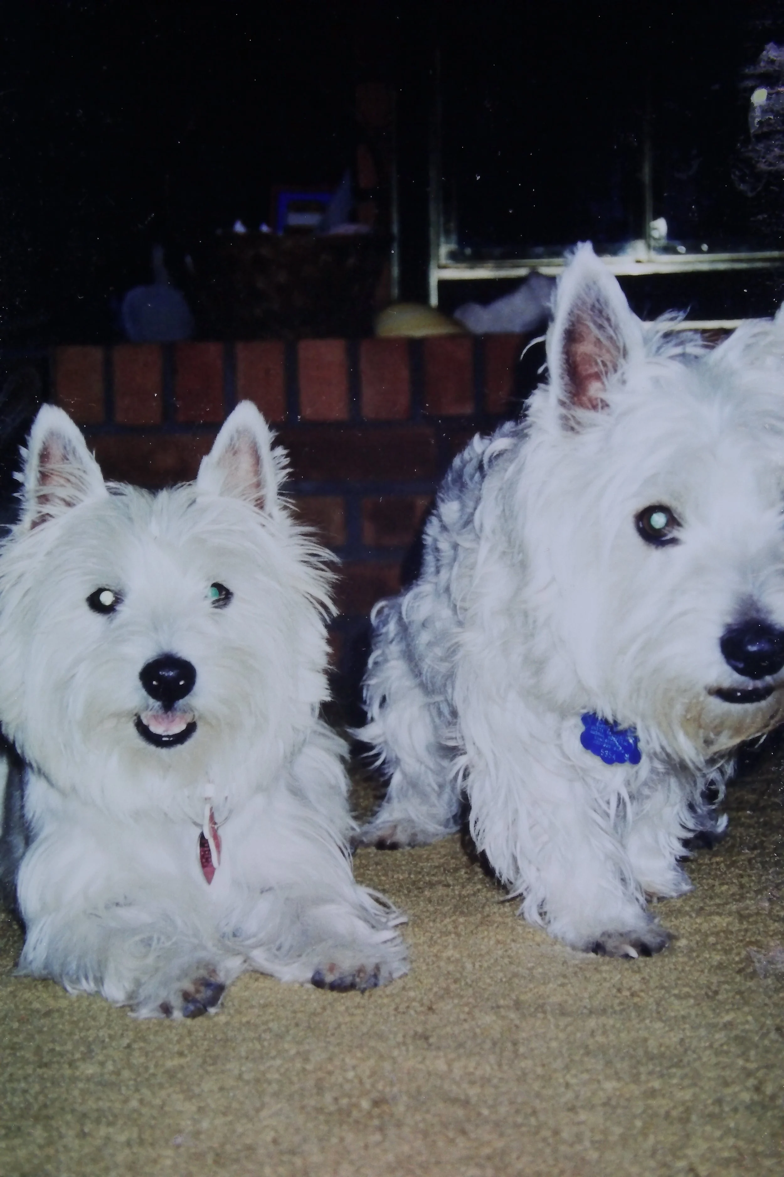 Maggie and Seager always got along well