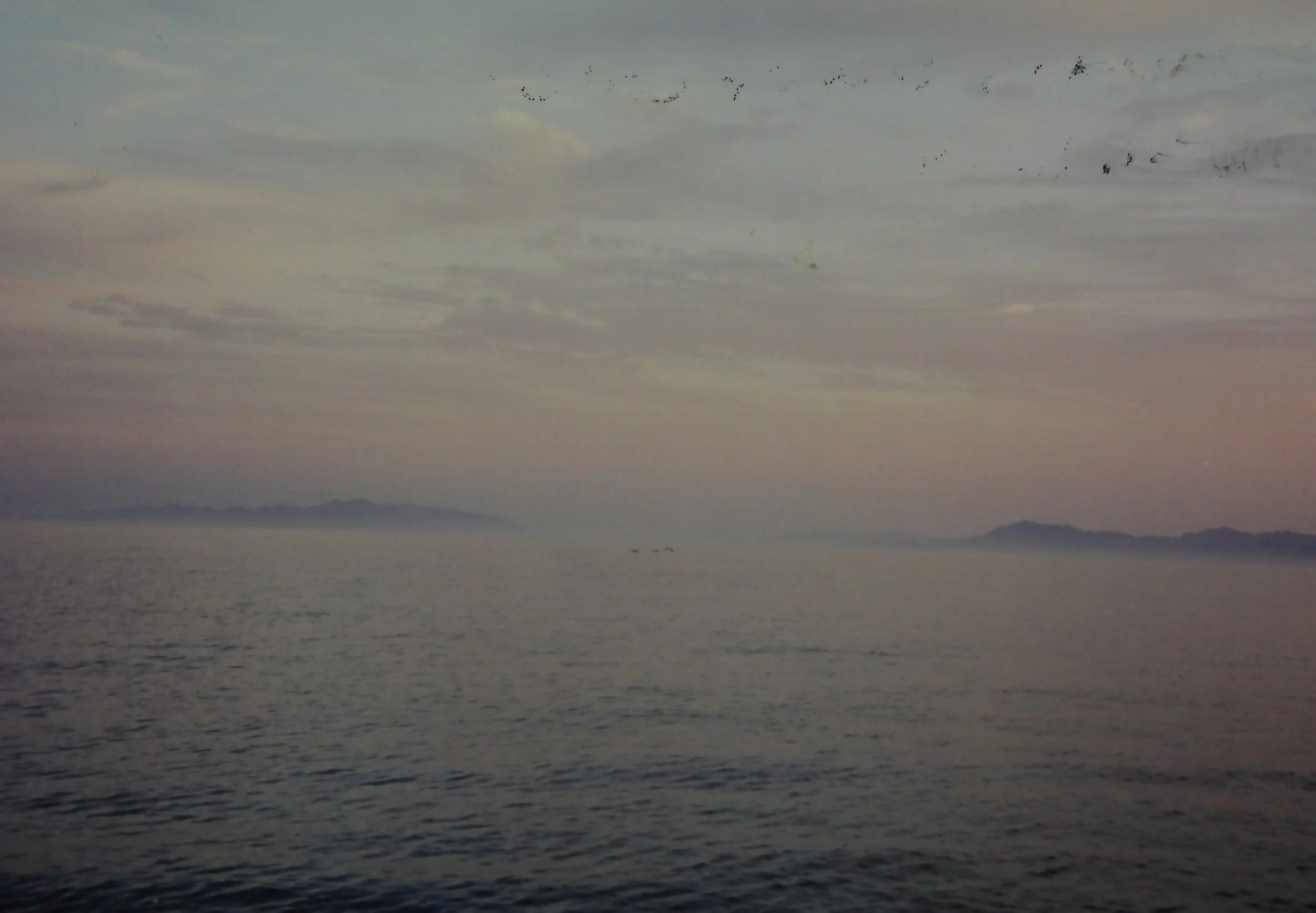 4.01 Sunset, sea of cortez, 4.01.JPG