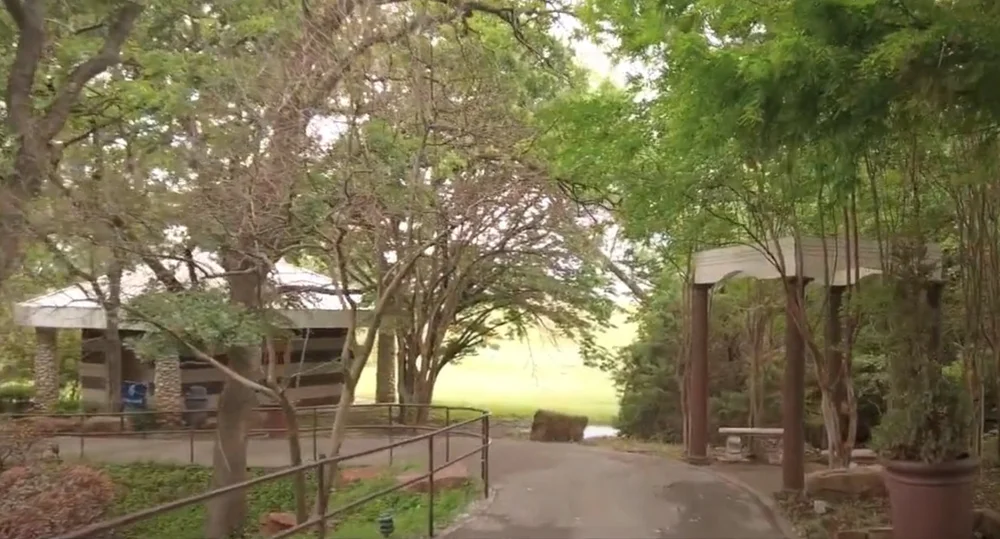 SS path structures.jpg