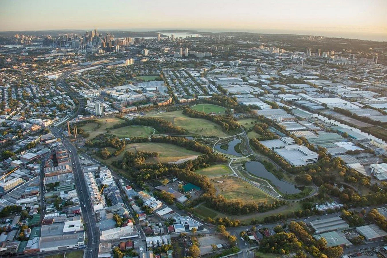 From urban rewilding to global biodiversity resilience
