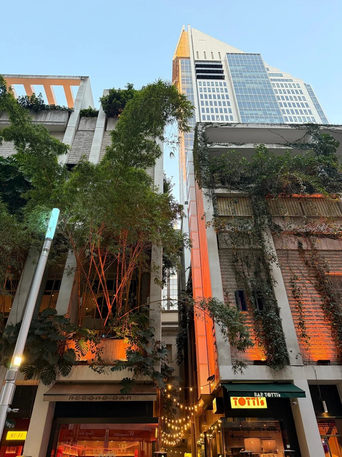 Laneways Alive: Nature Rooted in the City by Michelle Cheung