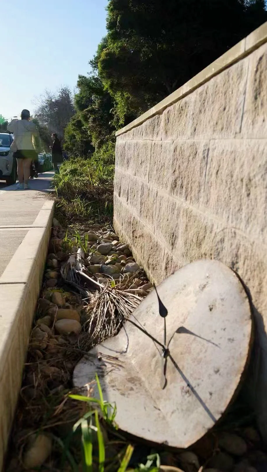 Through Flow, Trace, and Renewal by Jiaqi Chen