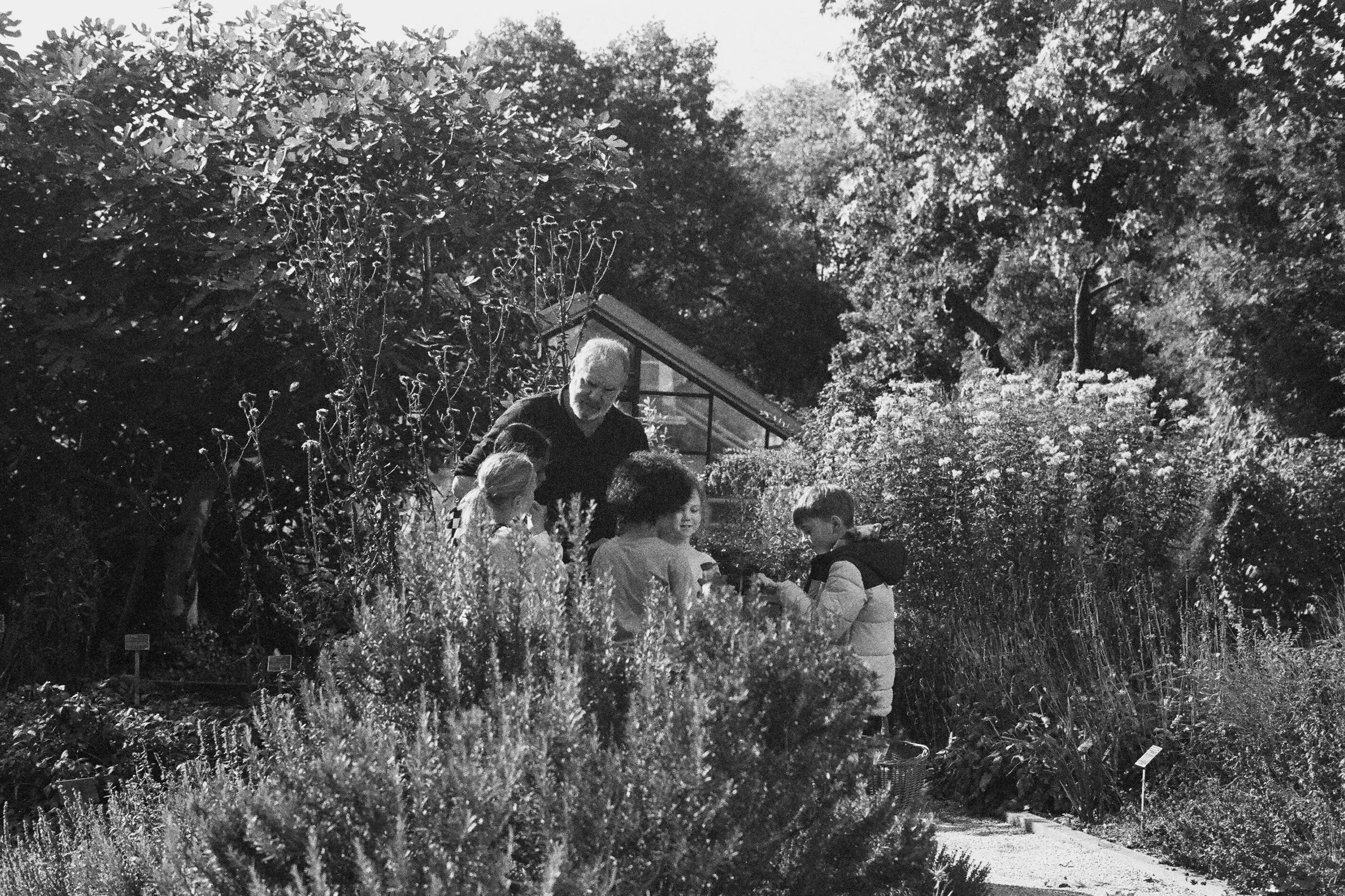 Plant a seed by Natalie Yeung