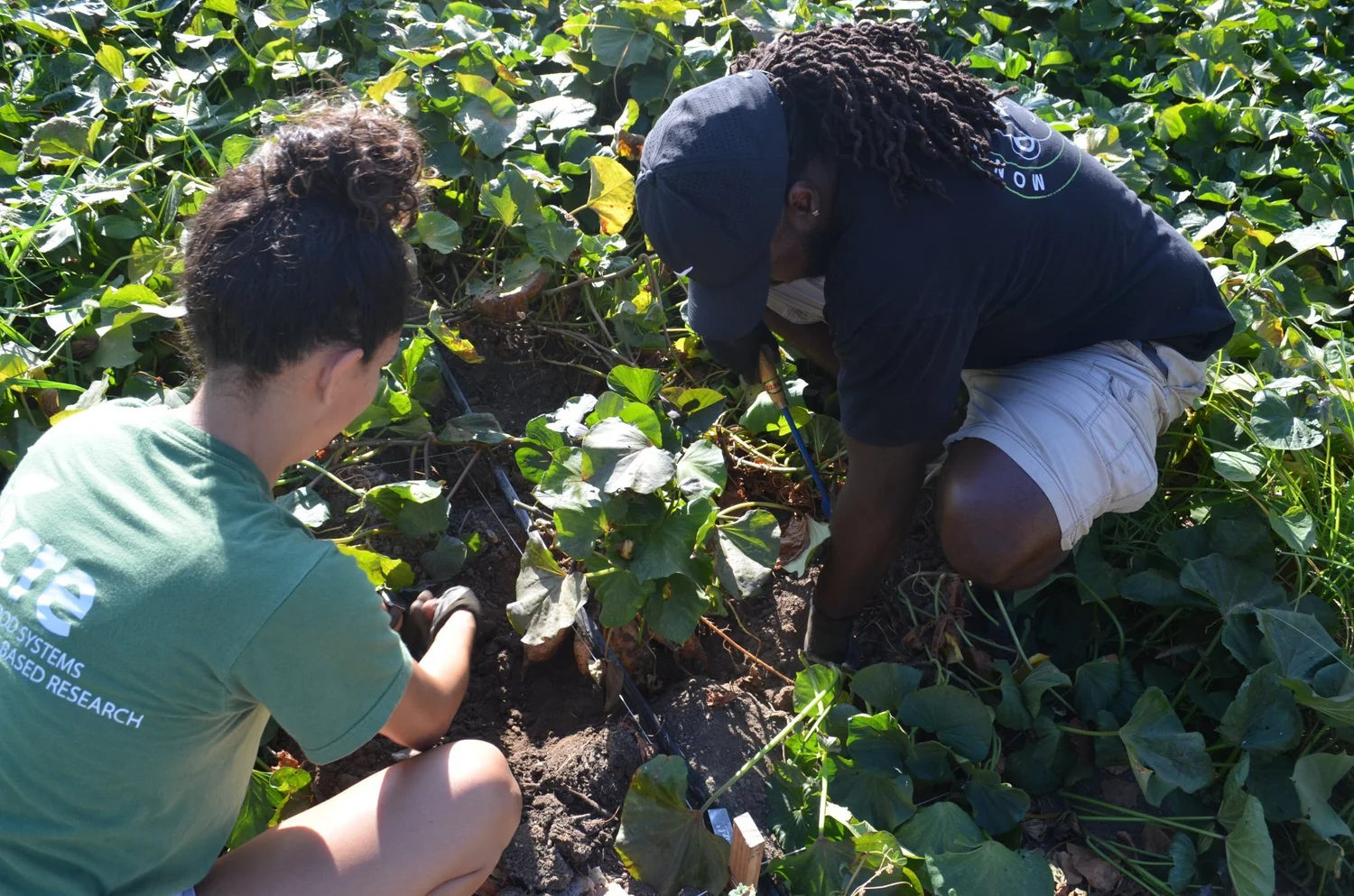 Hart Community Homes
