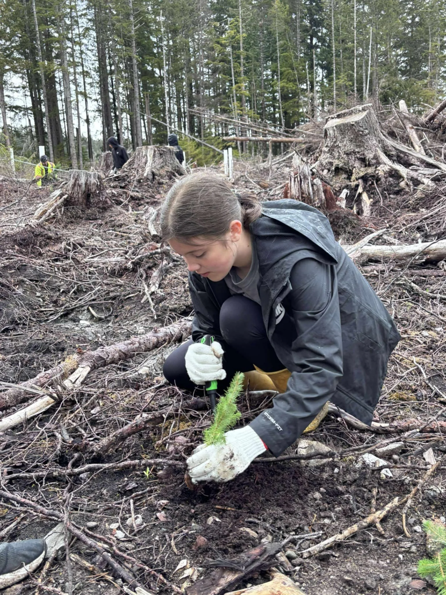 PLANTING SEASON BEGINS! — Taan Forest
