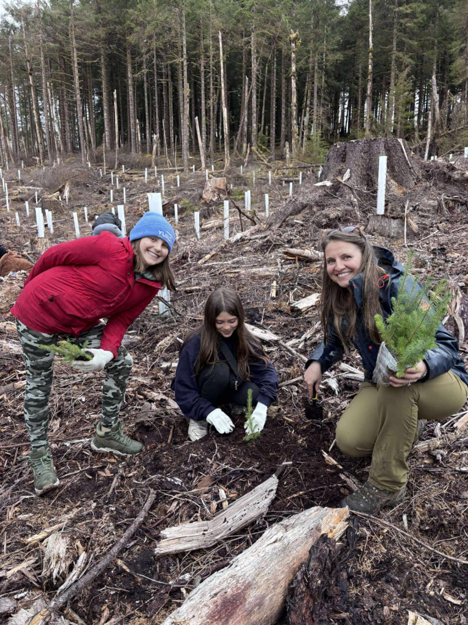 PLANTING SEASON BEGINS! — Taan Forest