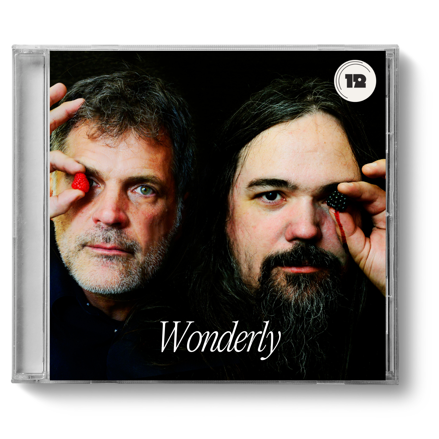 12 Songs Project-Playlist Cover-Wonderly.png