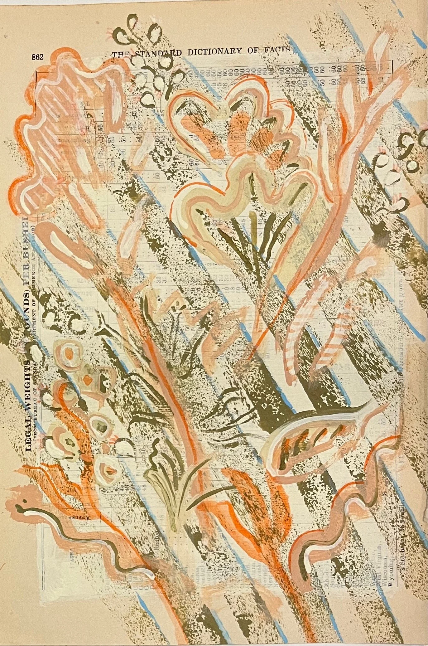 Pastis Pressed Flower One