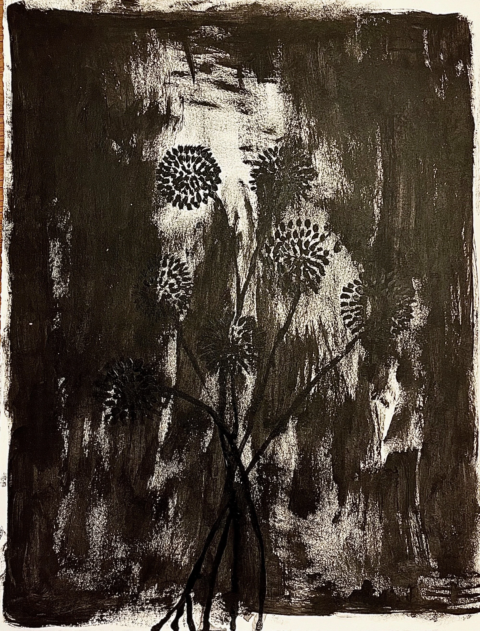 Black Poppies