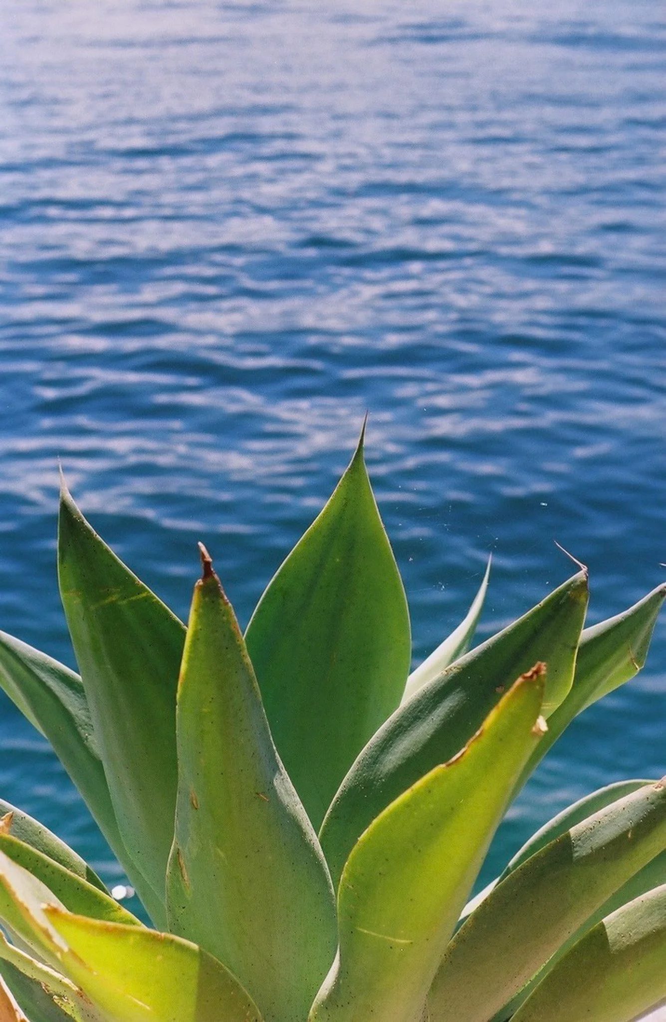 13A3341F-57B3-45FD-A237-15984FE7E450_1_105_c.jpg