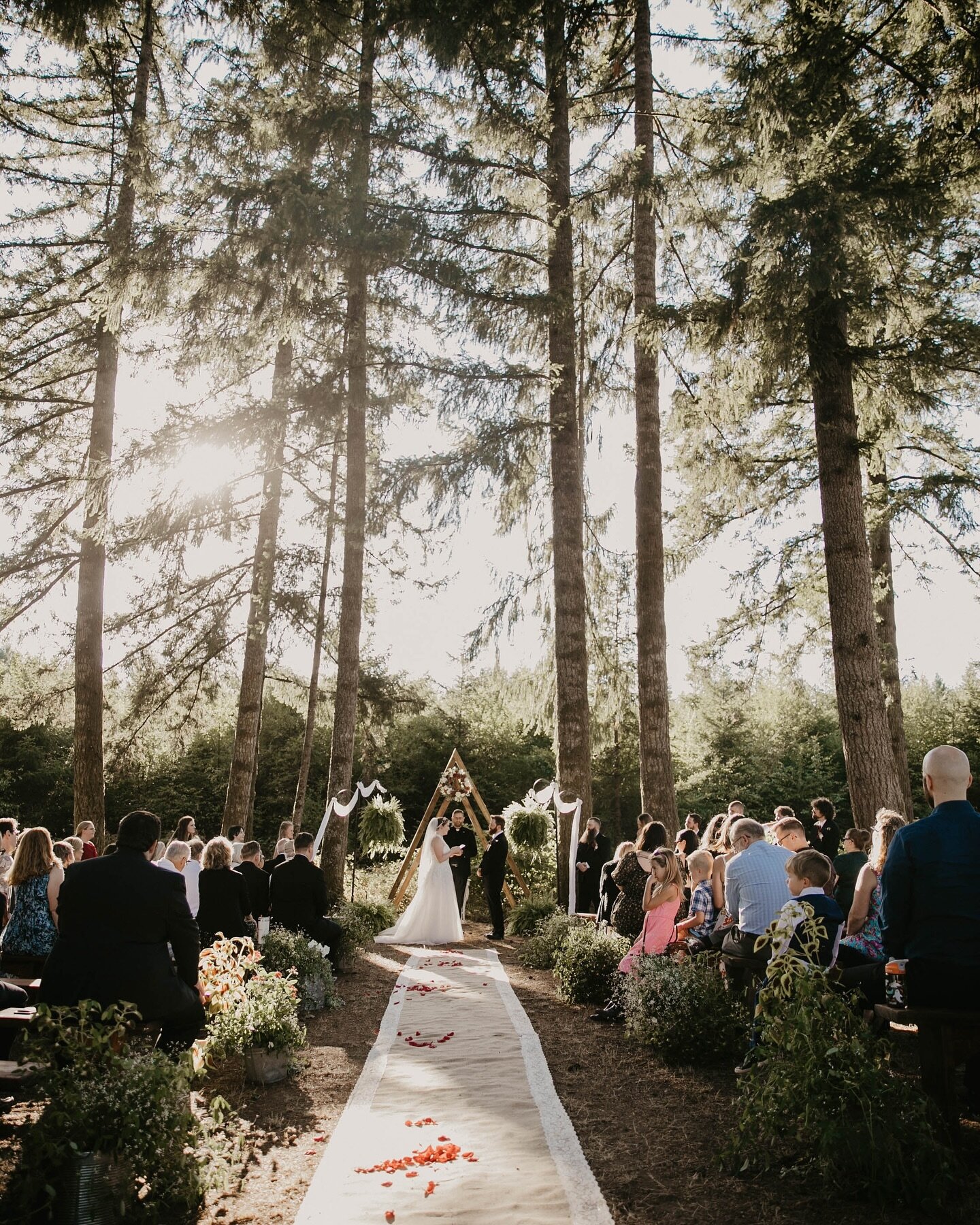 Imagine stepping into a fairy tale where your wedding is surrounded by the lush forests of Clark County, Washington. 🌿✨ Your dream day is bathed in golden sunlight, casting magical shadows through the trees. This isn&rsquo;t just a fantasy; it&rsquo