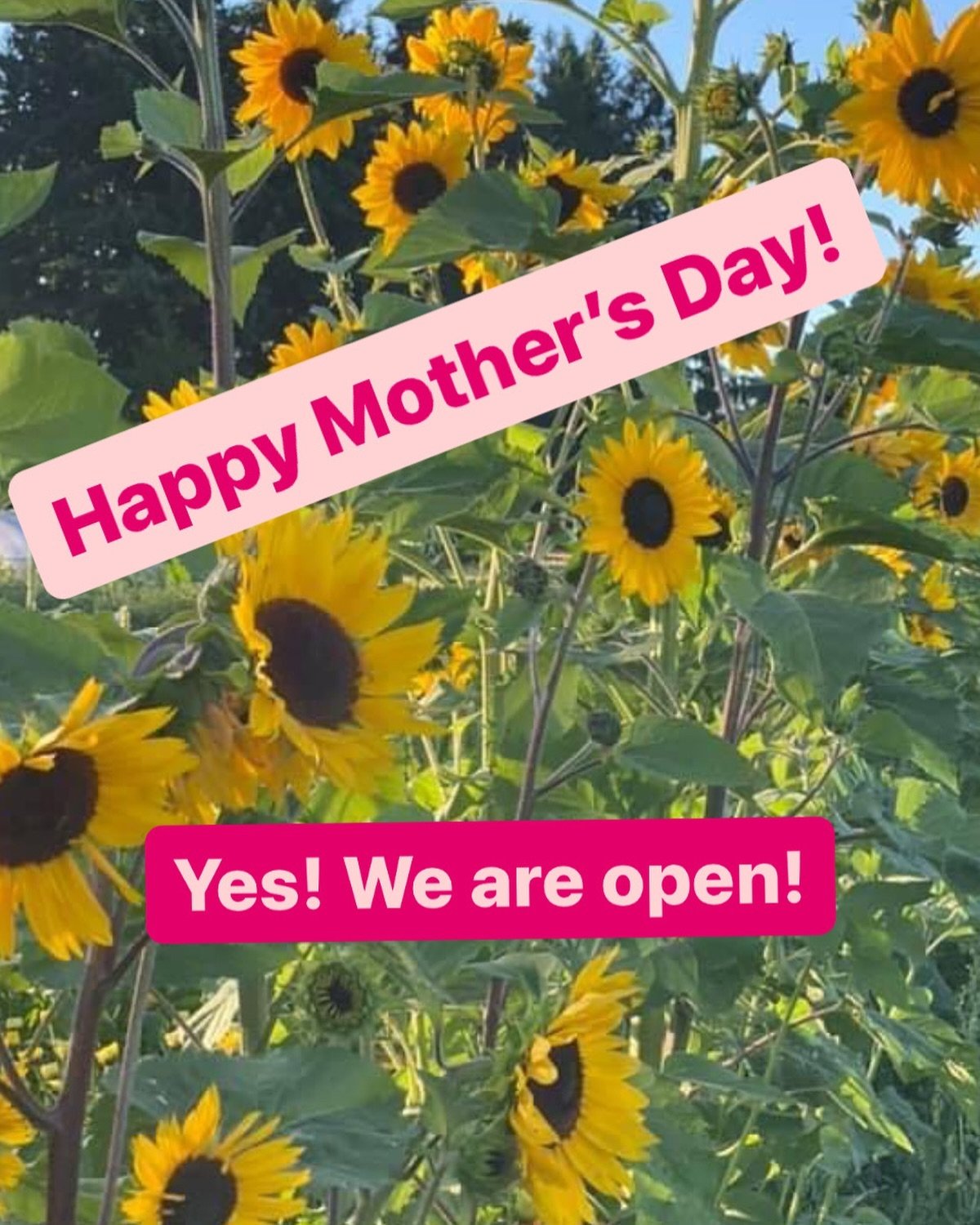 Happy Mother&rsquo;s Day! To all the mothers and the sisters and the wives and friends, I want to offer my love and respect to the end! Because you can&rsquo;t, you won&rsquo;t, and you don&rsquo;t stop! 

we are open from noon to 6 PM every day!
Gat
