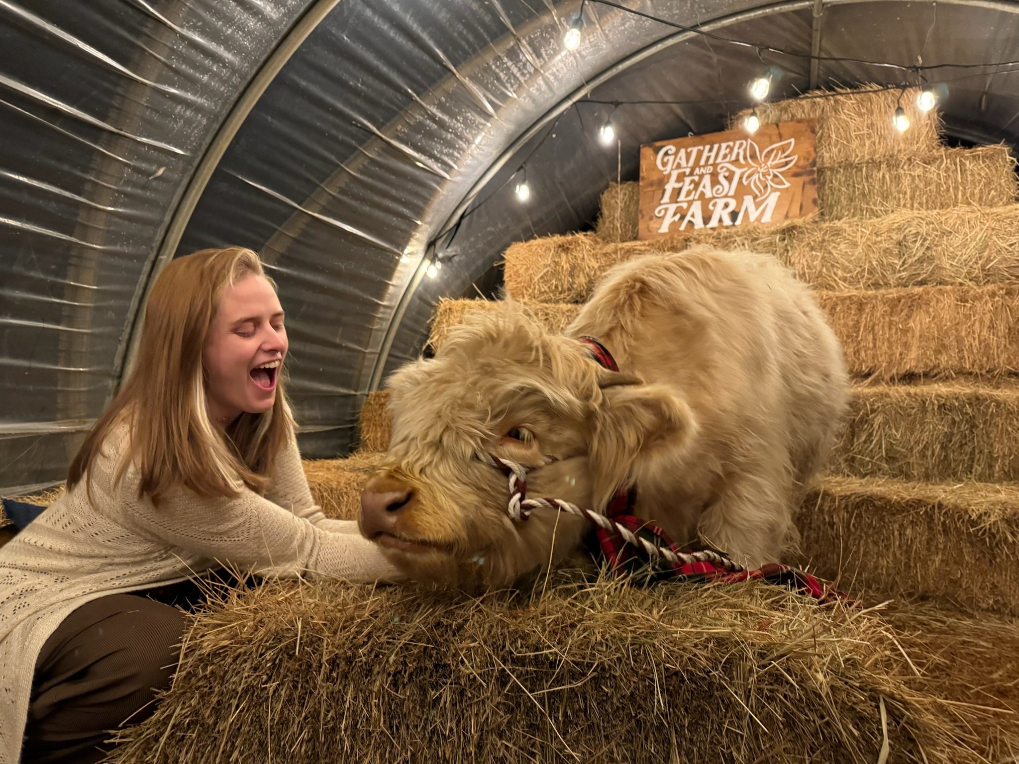 Highland Holiday Experience