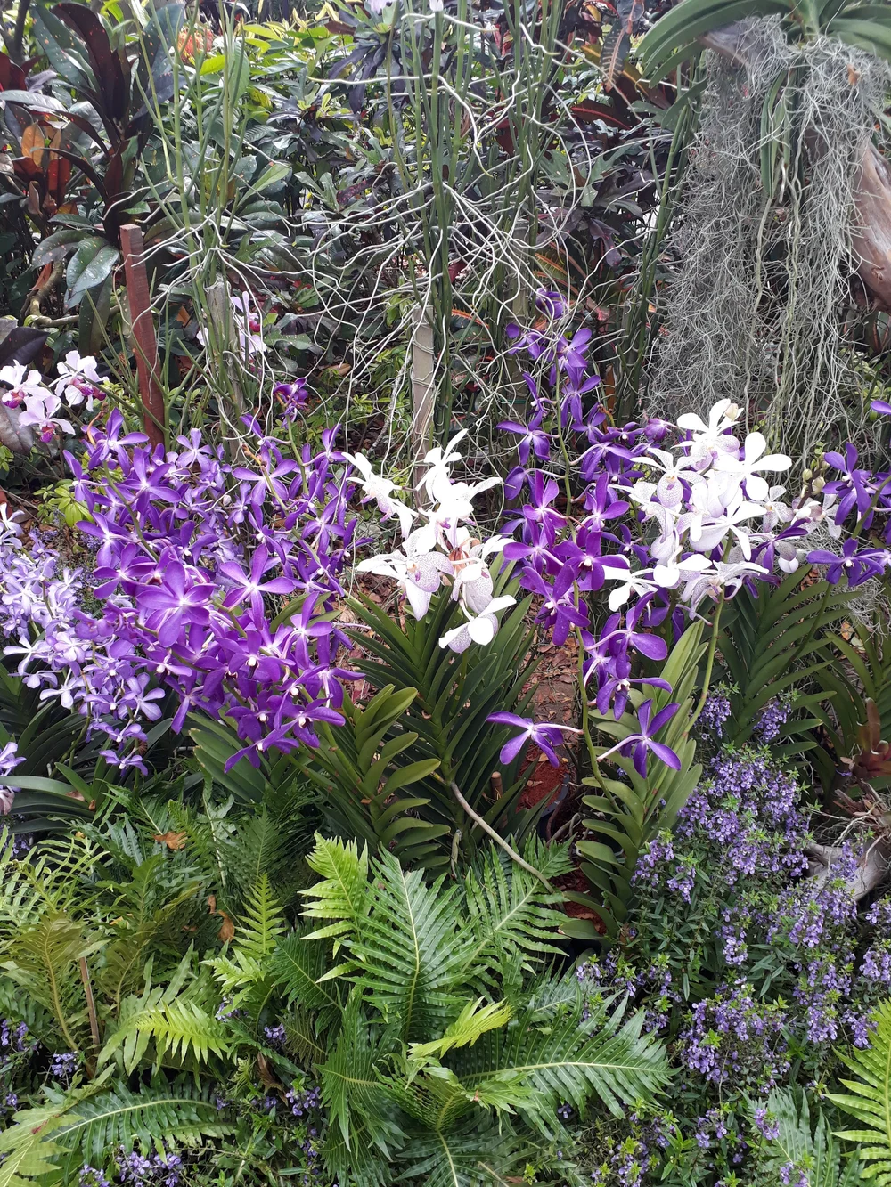 20180718_155440.jpg