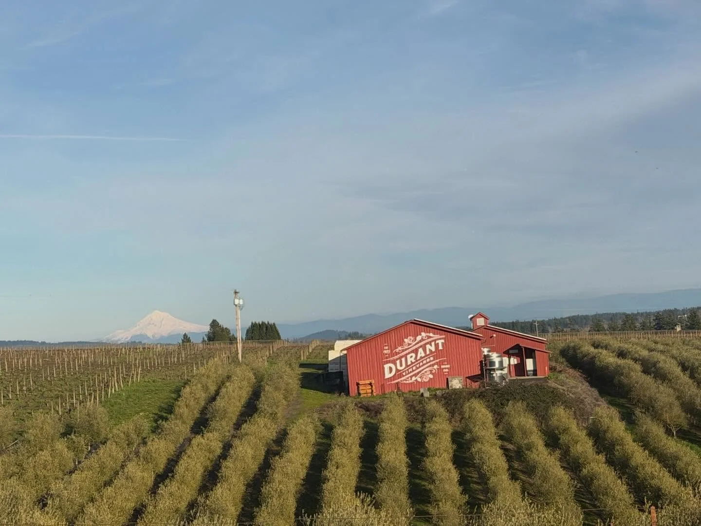 What a difference an hour makes.

Thank you @beavertonareachamber for a great evening with @sokolblosser