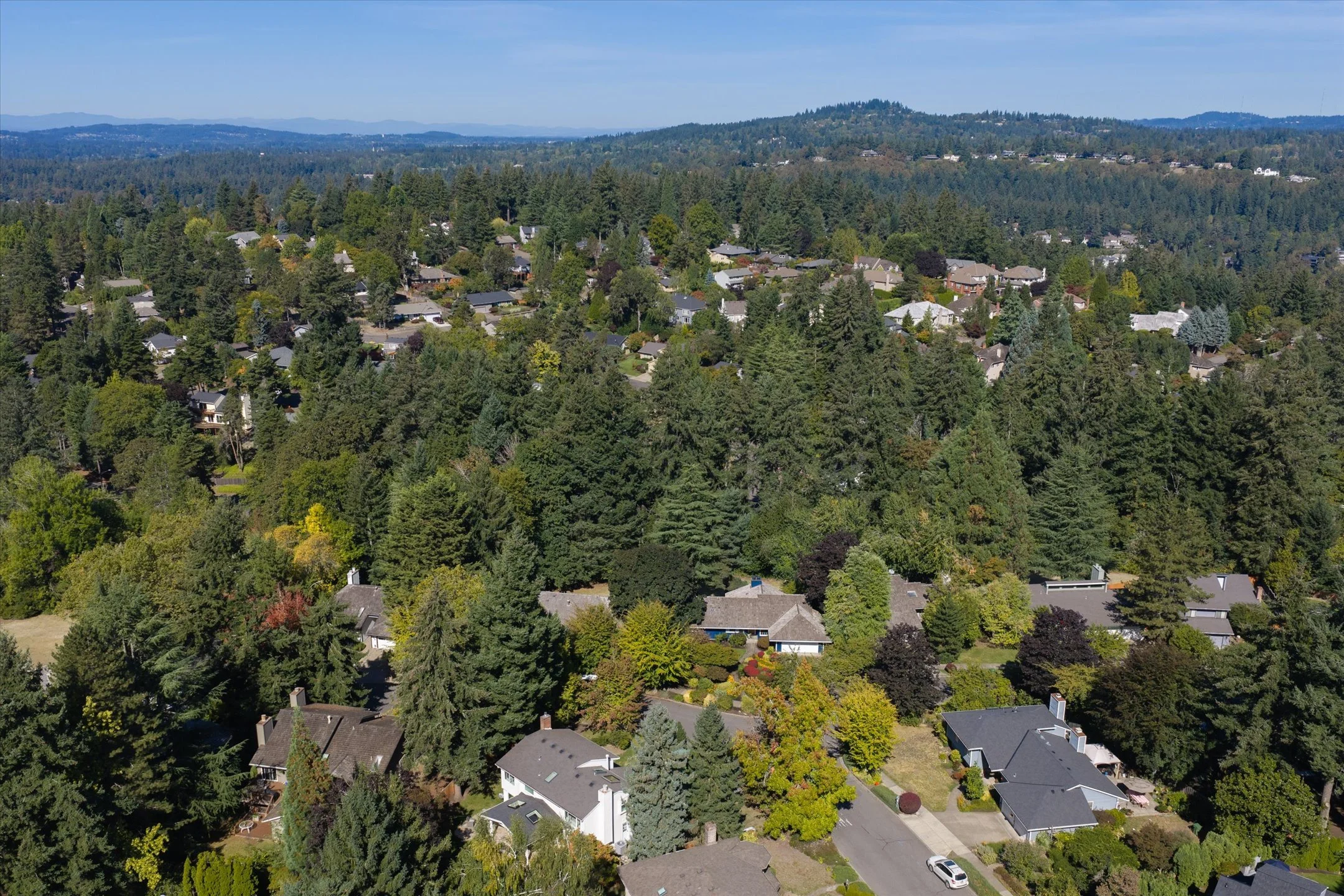 63-876 Sunny Hill Dr-66.jpg