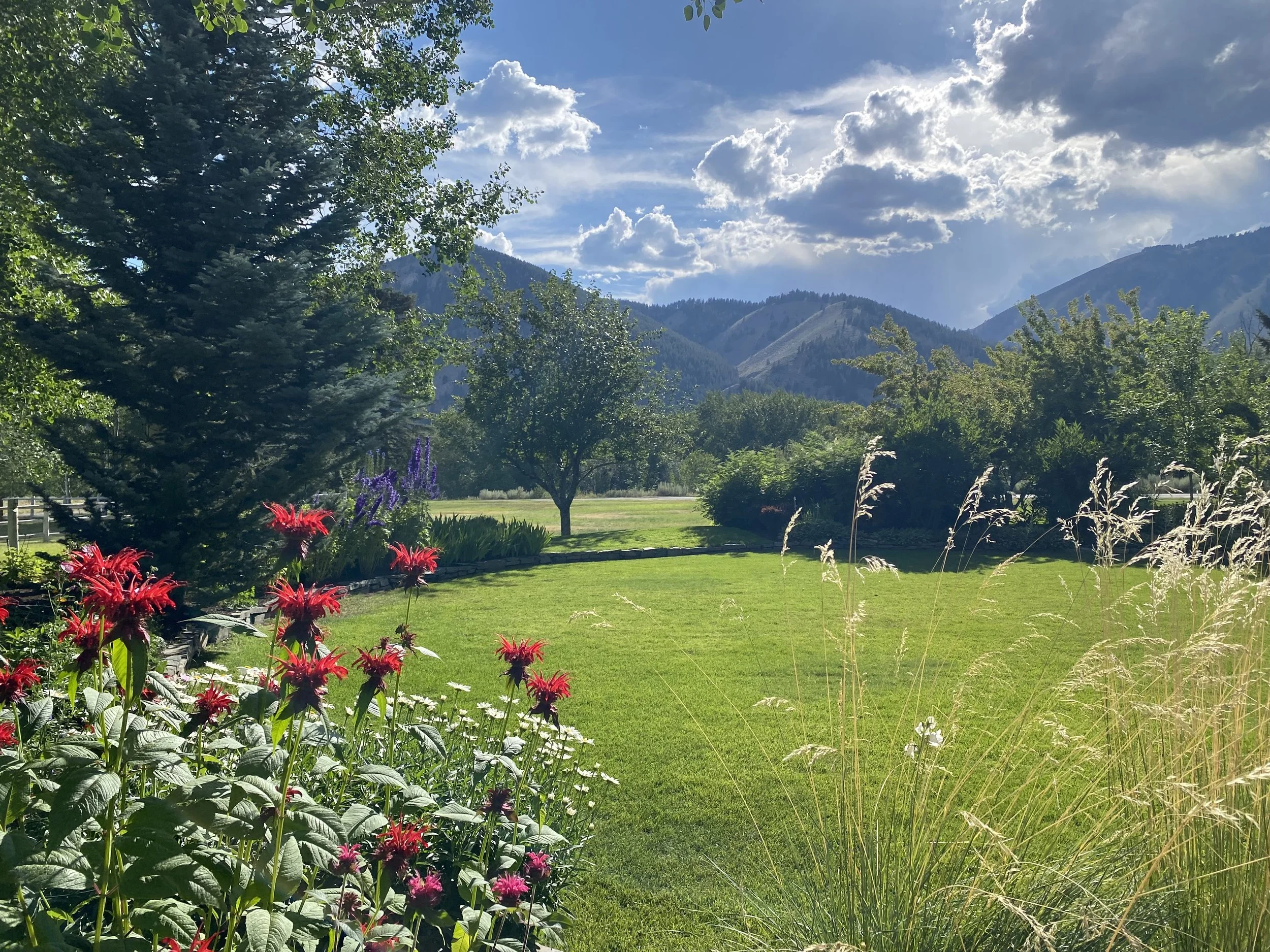 31st Annual Garden Tour