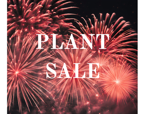 Annual Plant Sale