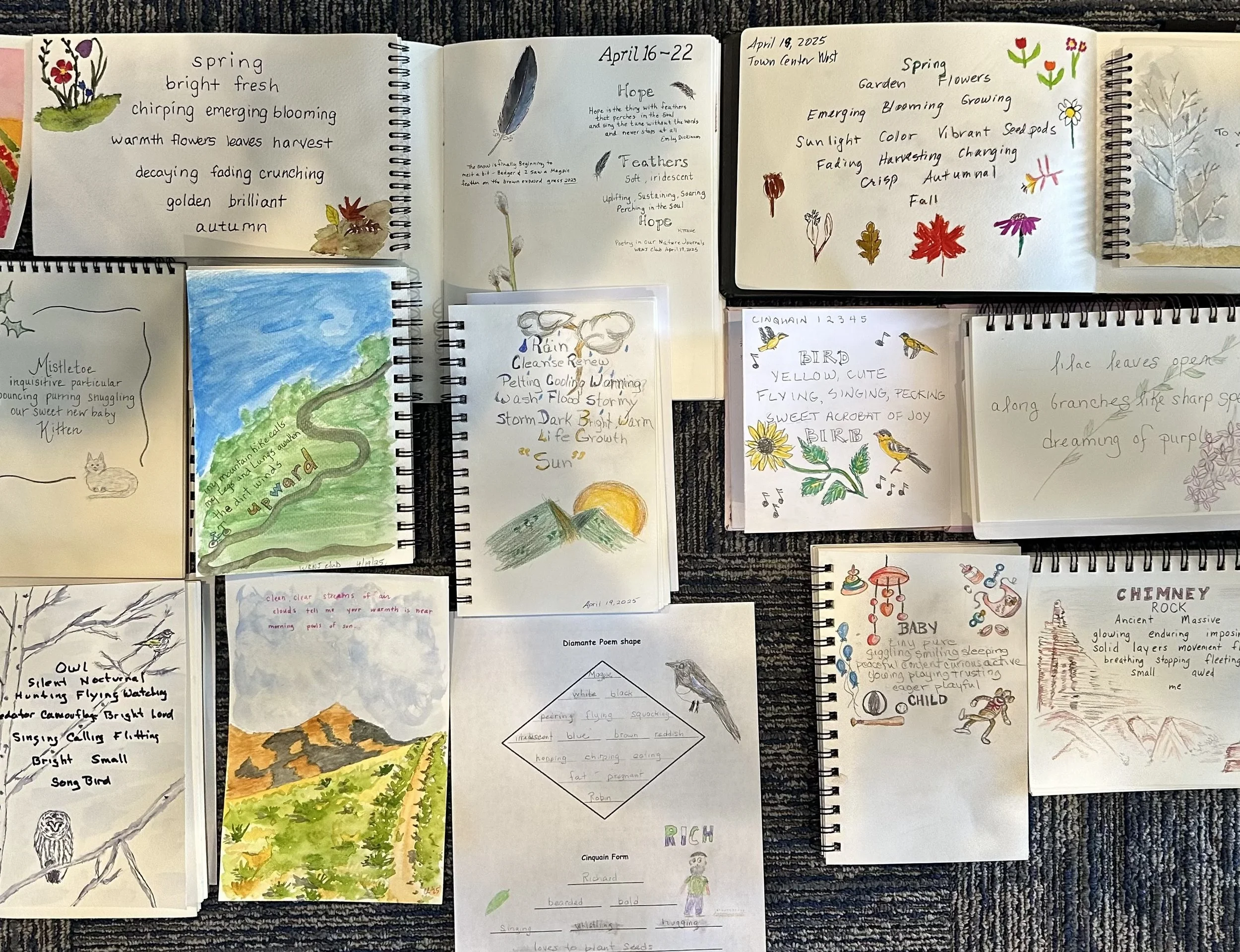 Nature Journaling