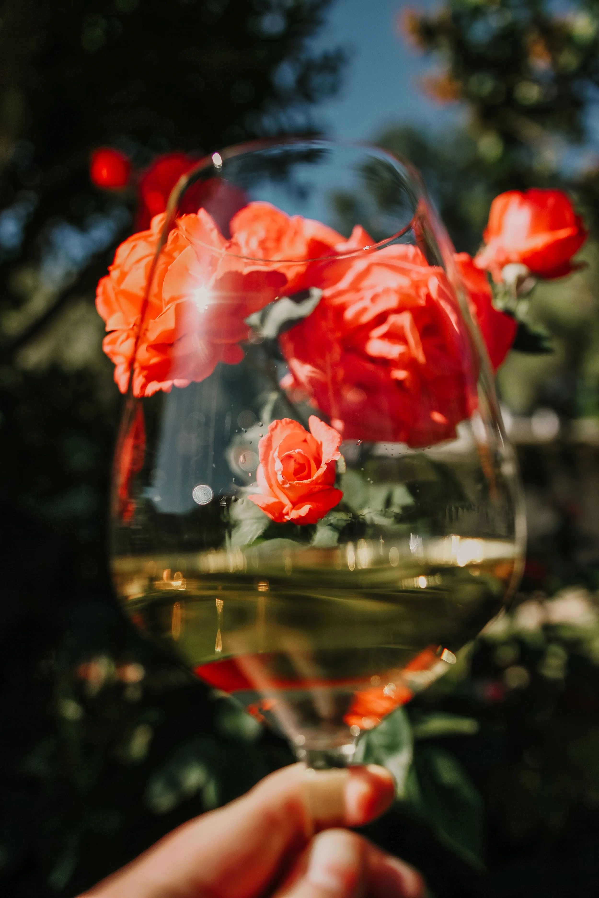 Art, Walk + Wine