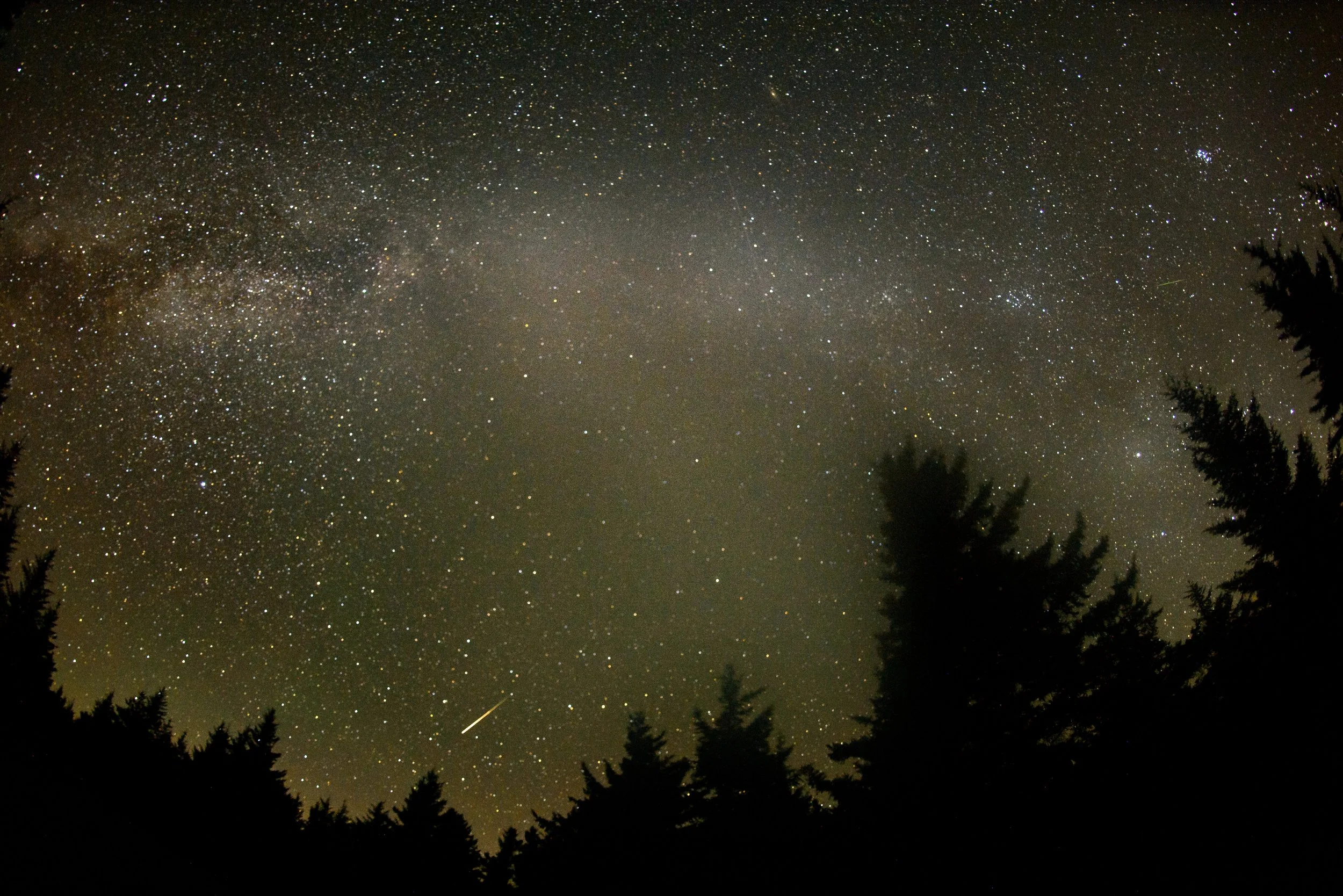 Perseid-Palooza