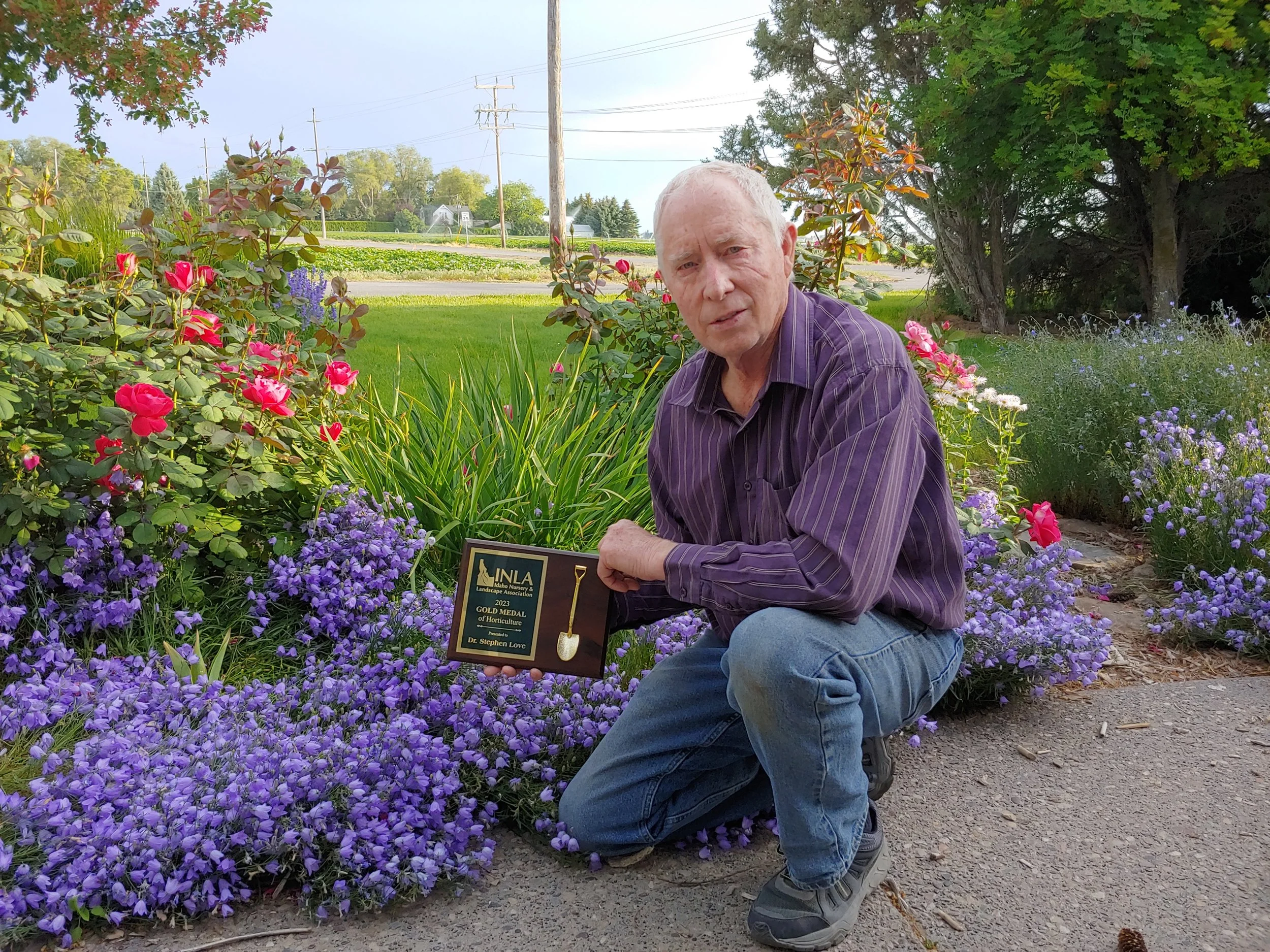 Native vs Nativar Plants: A Conversation with Dr. Stephen Love