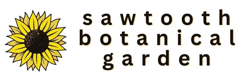 SBG