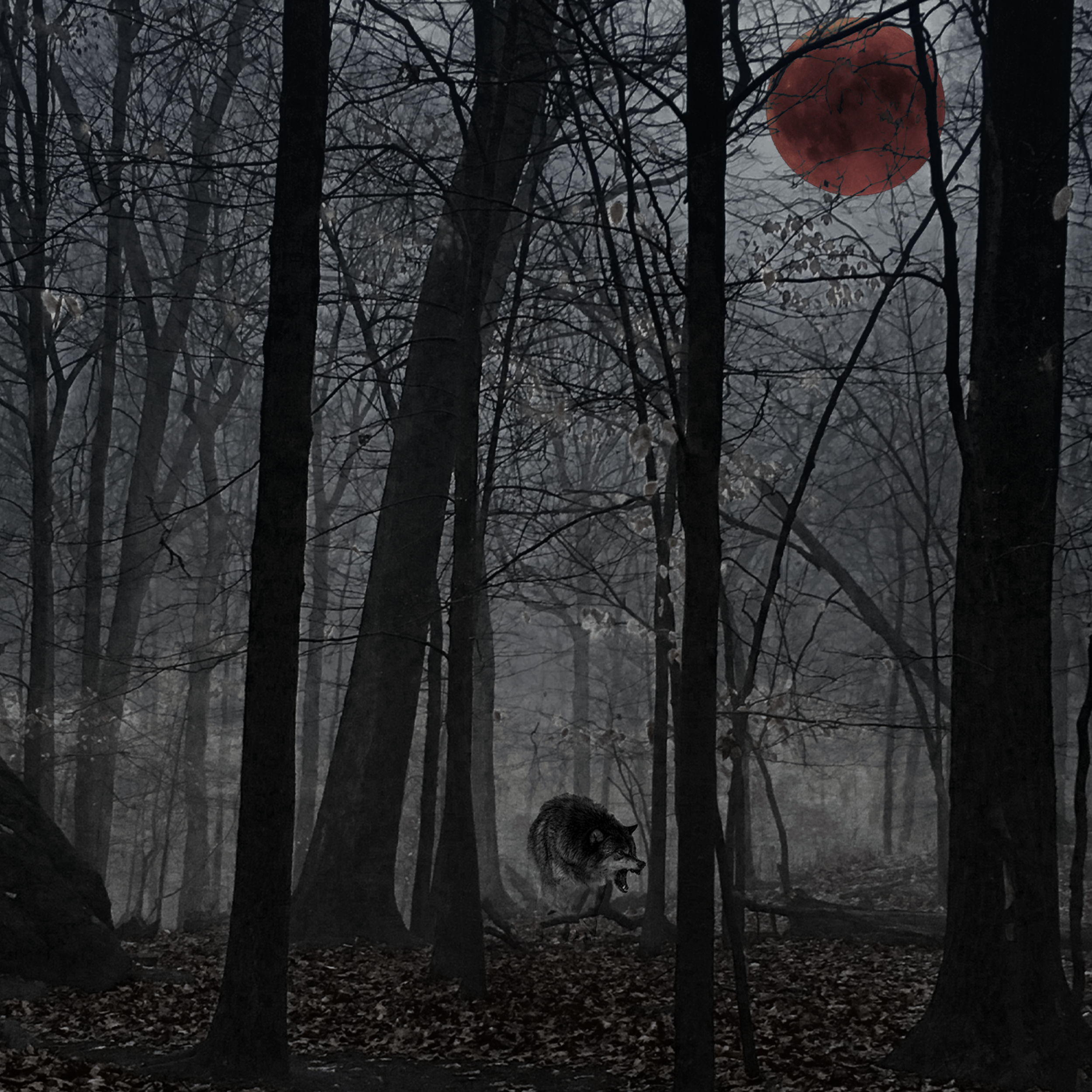 wolves shirt shit.png