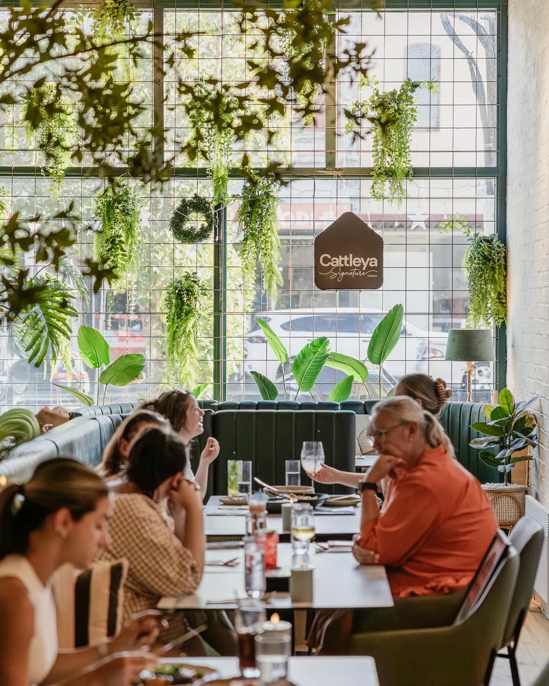 Cosy &amp; signature vibes always at Cattleya. ⁠
⁠
Book now via www.cattleyaballarat.com.au⁠
⁠
Join us: Mon, Tues &amp; Thurs 5pm&ndash;10pm | Fri&ndash;Sat 12pm&ndash;11pm | Sun 12pm&ndash;10pm. Closed Wednesdays.