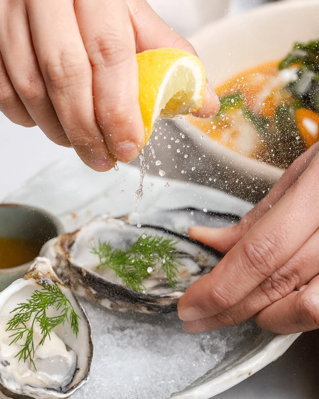 Fresh oysters on ice, finished with punchy Thai seafood nam jim 🦪⁠
⁠
Book now via www.cattleyaballarat.com.au⁠
⁠
Join us: Mon, Tues &amp; Thurs 5pm&ndash;10pm | Fri&ndash;Sat 12pm&ndash;11pm | Sun 12pm&ndash;10pm. Closed Wednesdays.
