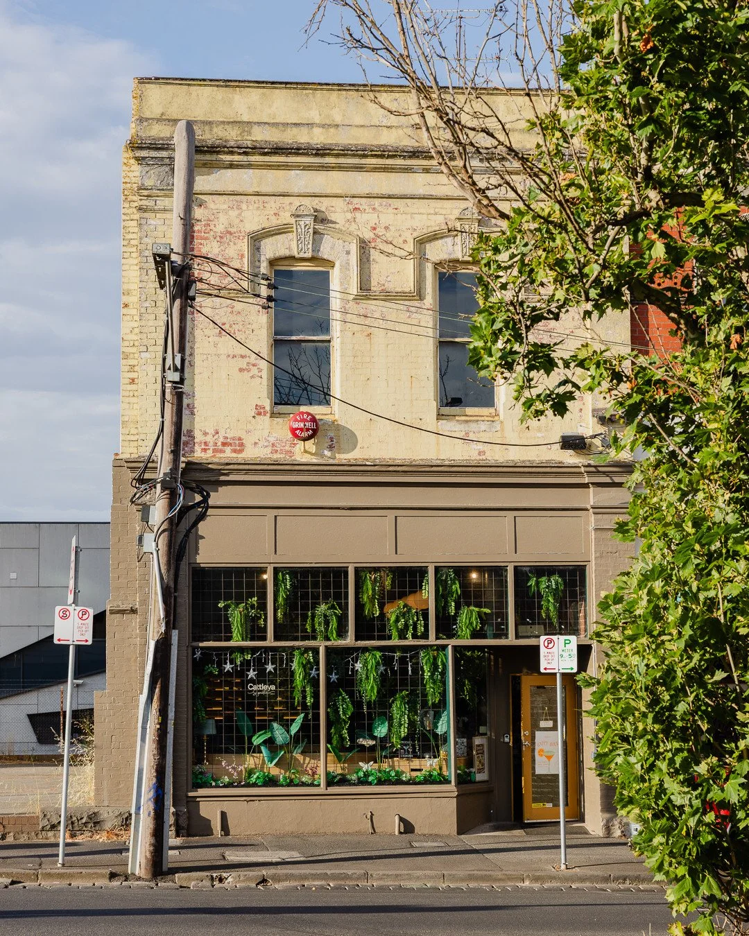 Step into a space that feels fresh, leafy, and full of life. At Cattleya Signature, modern Thai cuisine meets a vibrant, welcoming atmosphere. 🌿⁠
⁠
Book now via www.cattleyaballarat.com.au⁠
⁠
Join us: Mon, Tues &amp; Thurs 5pm&ndash;10pm | Fri&ndash
