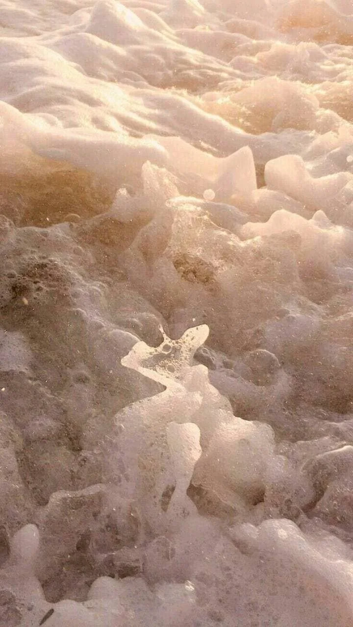 Sea foam on a beach, with sunlight reflecting off the bubbles.