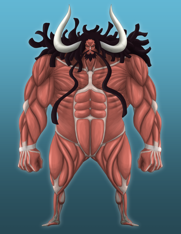 Muscle Study: Kaido