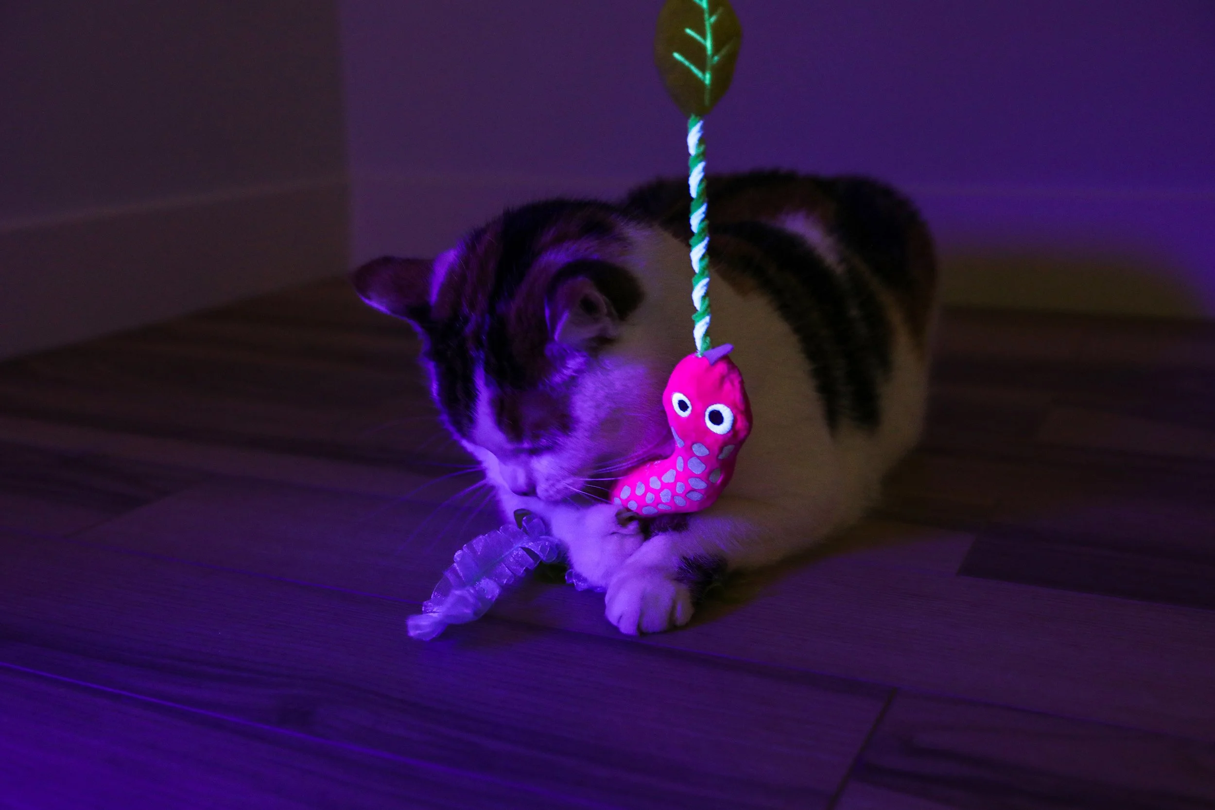 17381_QK_GlowingForest_Glow_Snake_Wand_Life_05.jpg