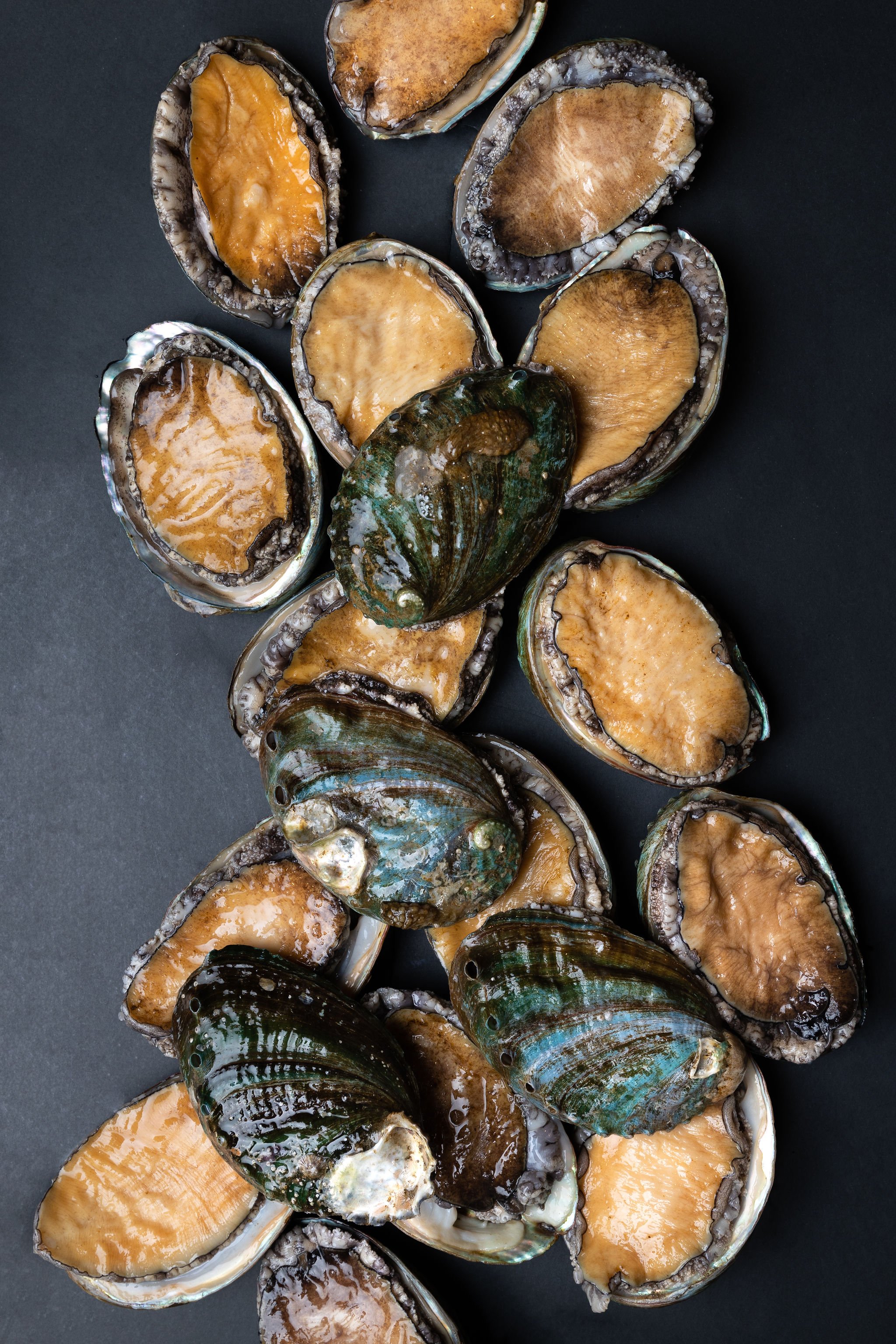 Best-omakase-vancouver-bc-tetsu-sushi-premium-shellfish.jpg
