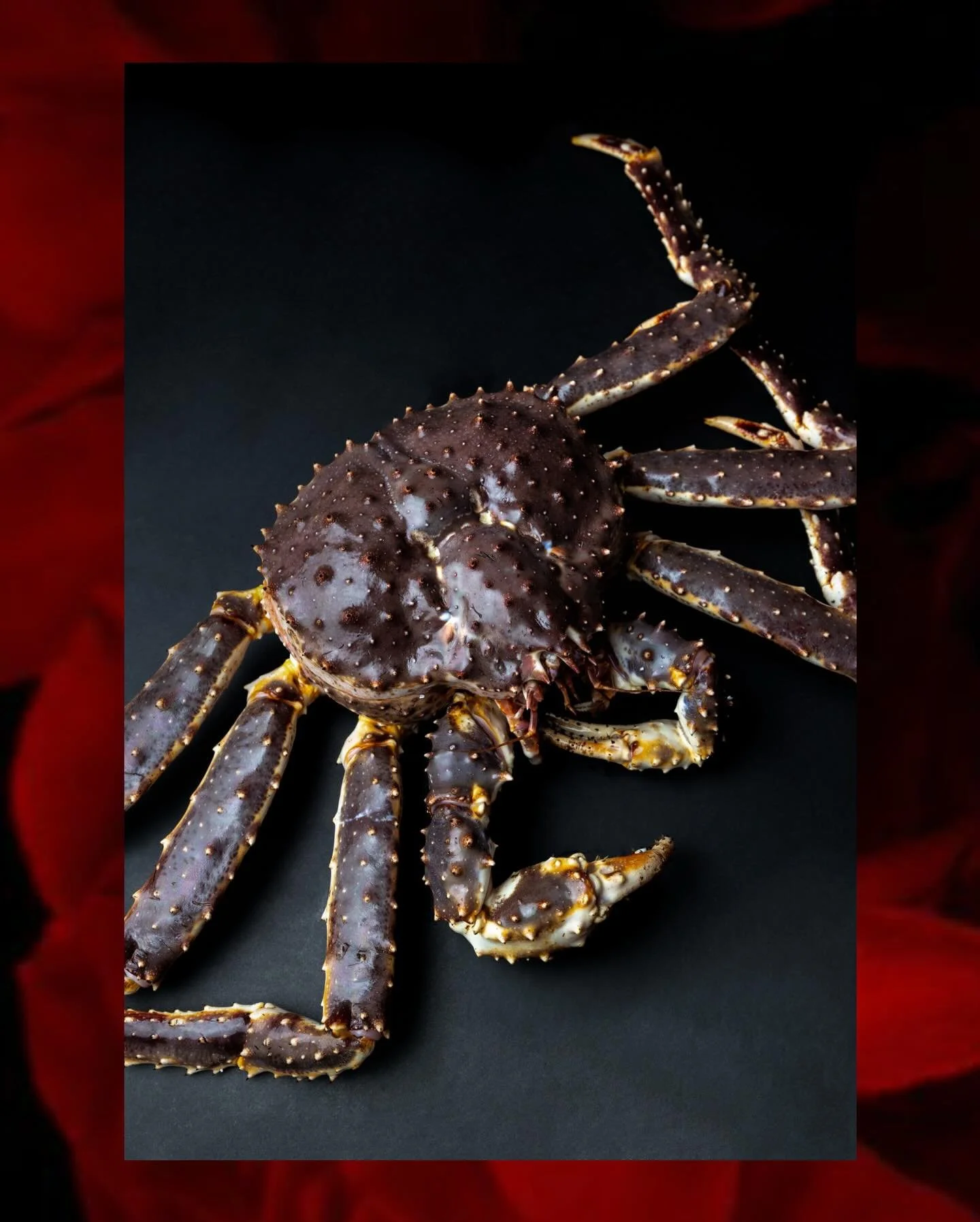 Our Valentine&rsquo;s omakase is fully booked. If you have a reservation, you are in for a memorable evening.

The menu unfolds with the season and the rhythm of the night. Thoughtfully paced. A dialogue of textures, temperatures, and contrast.

King