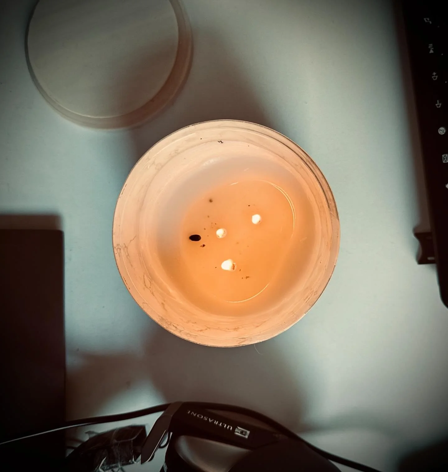 The flame of love will never be extinguished by the oppression of greed. 

Honoring Danny Desnoyers and the +68,000 others whose lives were cut short (each year) by the greed of healthcare profiteers. 

The love for these souls is fuel for the fire o