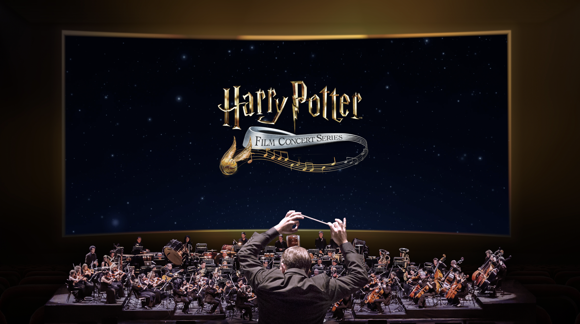 Harry Potter and the Sorcerer's Stone™ In Concert Poster (24 x 36)