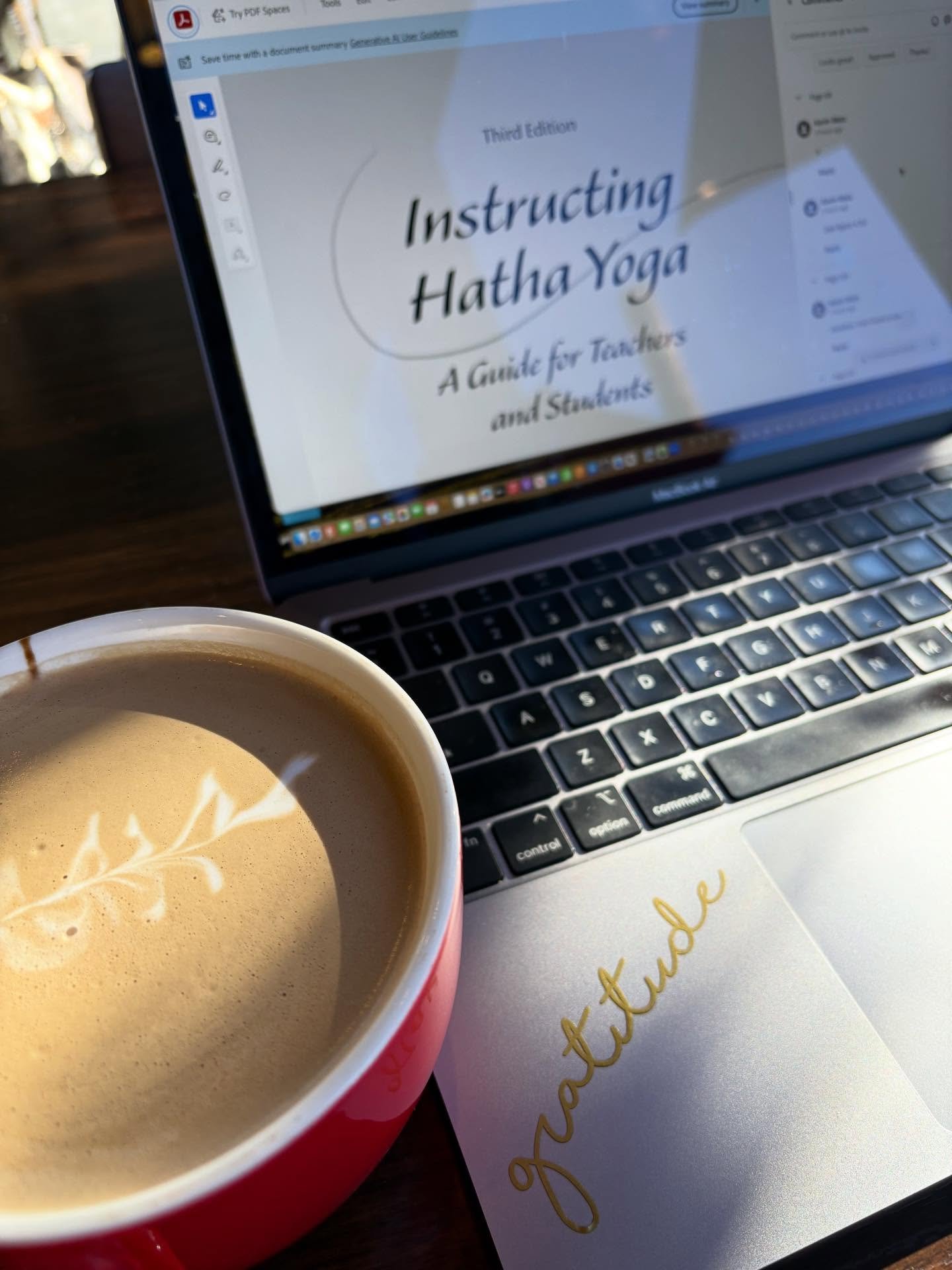 It&rsquo;s been 20 years since my friend KathyLee and I wrote the original &ldquo;Instructing Hatha Yoga.&rdquo; Ten years later I updated the text - and now the third edition has been sent off to the printer! 

Publishing date is set for the end of 