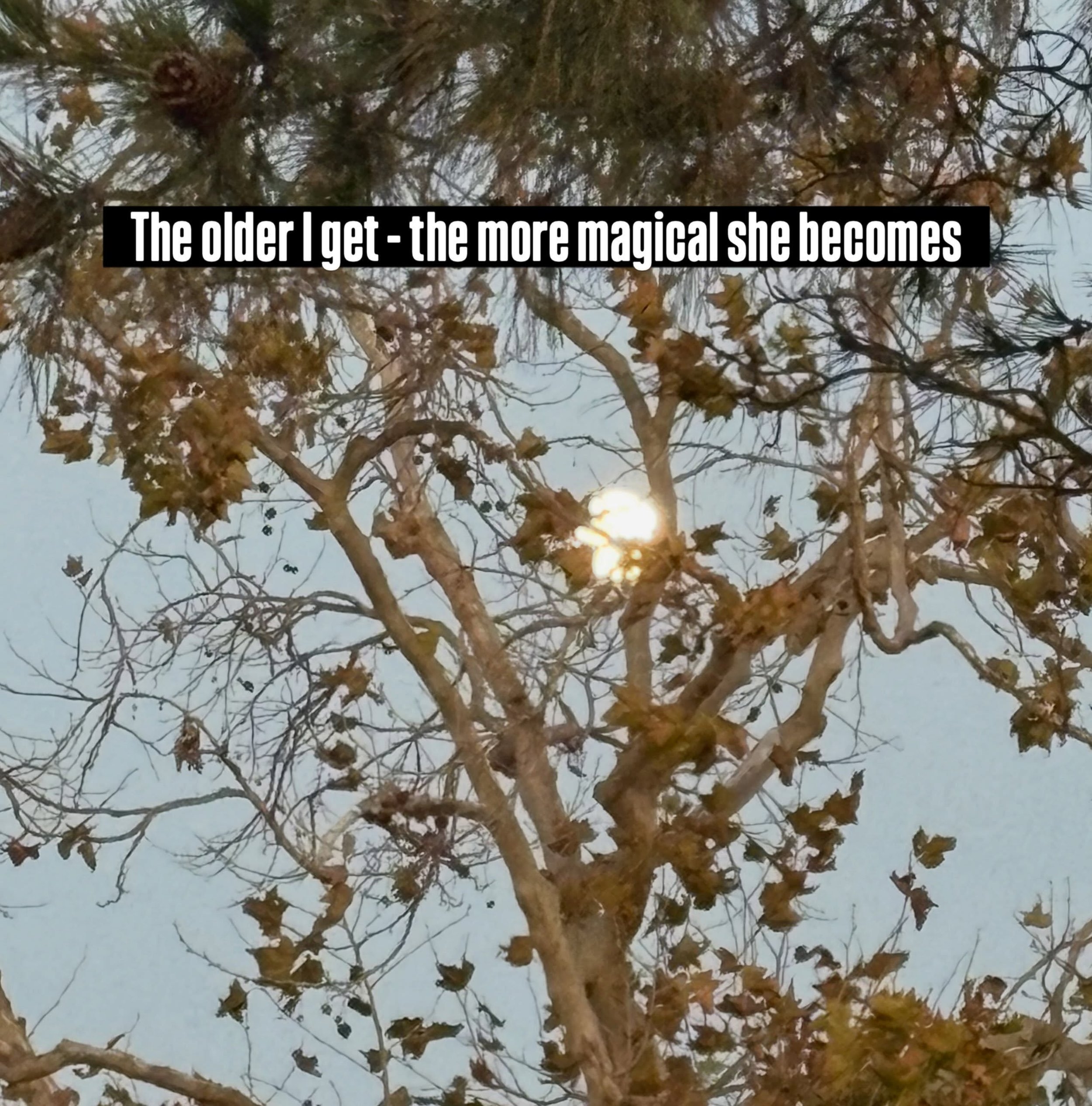 I&rsquo;ve always been enamored of the moon. 

Maybe because she&rsquo;s my ruling &ldquo;planet&rdquo; or maybe because I&rsquo;m in awe of her subtle, yet powerful energy.

Maybe it&rsquo;s because ALL of human life has sat beneath her. Every human