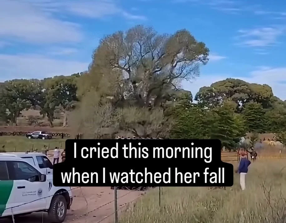 No other words

Apologies to the photographer. If you know their name, please let me know so I can give credit. 

#downingsacredtrees
#brokenhearted
#sacredgrandmother