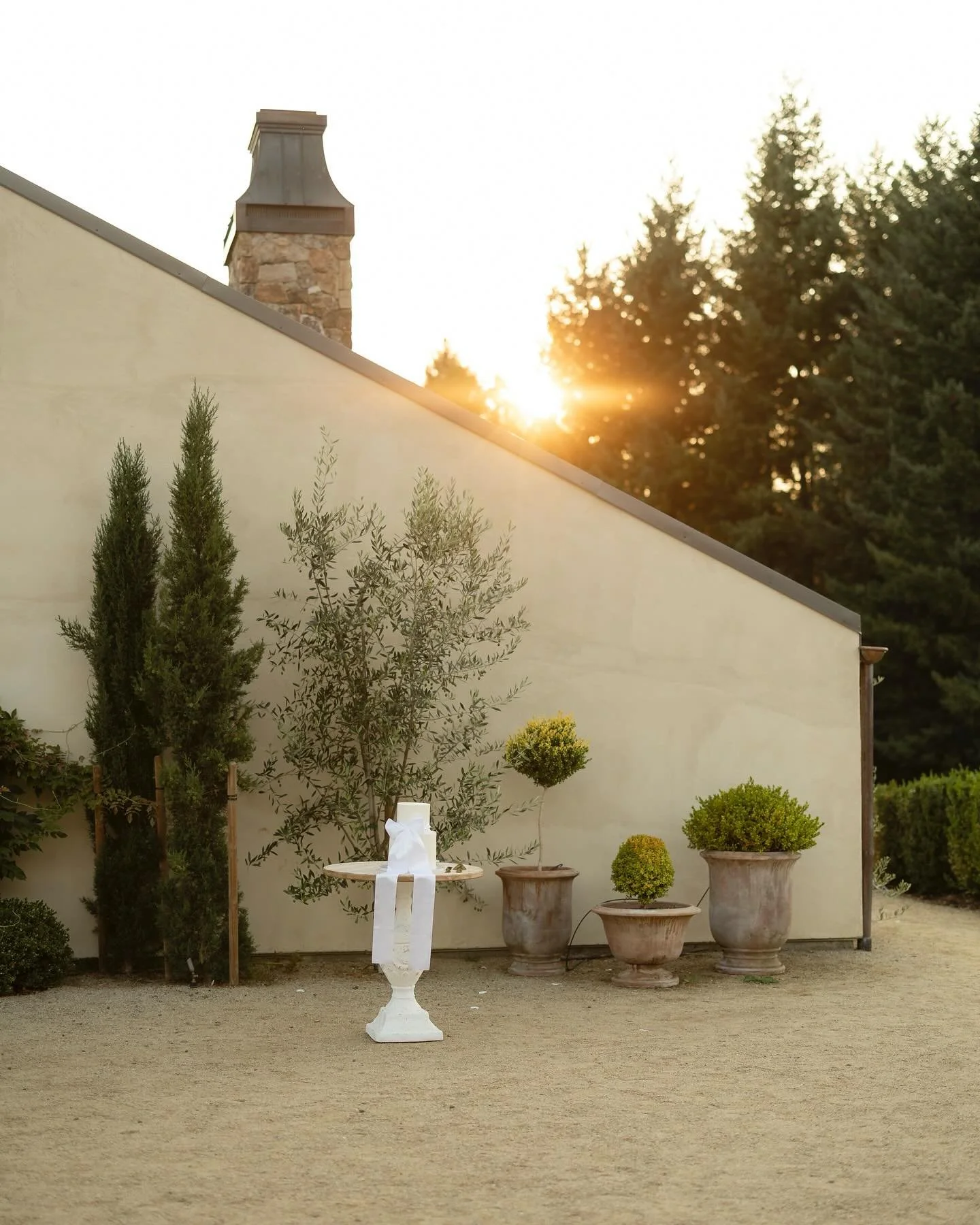 A moment for the cake ✨ @chateau_de_leon venue made the most beautiful backdrop’ 
.
.
.
#washingtonweddingphotographer #weddingphotography
#weddinginspiration #bridetobe #weddingday