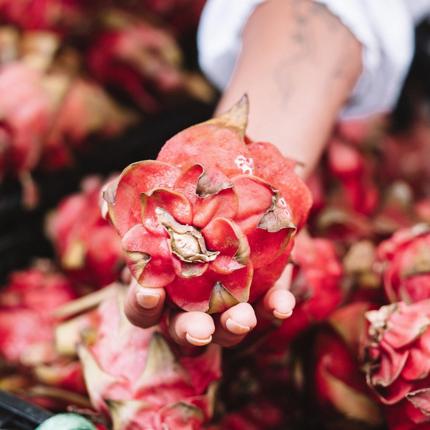 Fresh produce is one of the main values at These Four Walls.  Working closely with local farmers and suppliers not only supports our community but also ensures we have the freshest ingredients 🤍