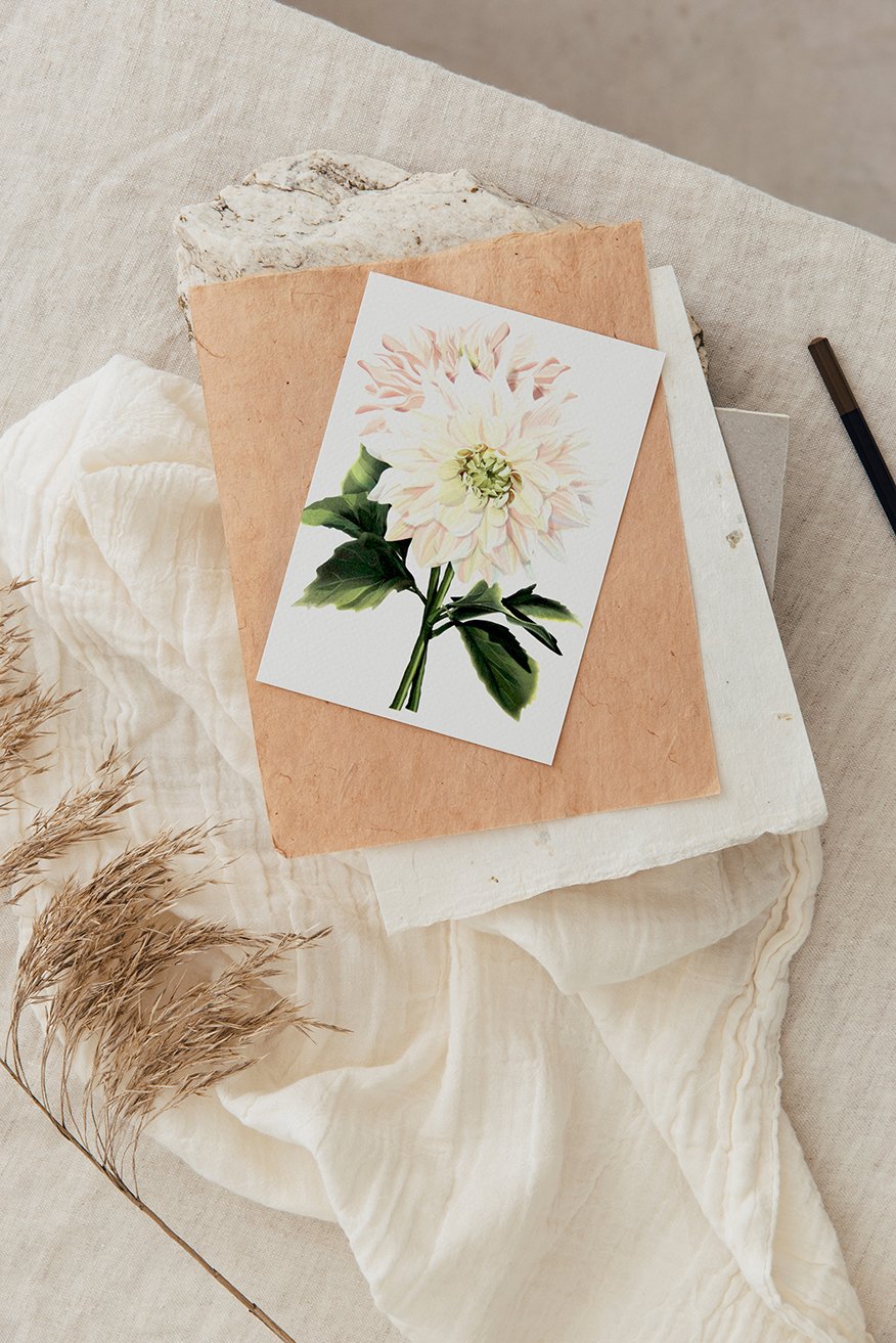 Gift Cards - Dahlia_Mockup.jpg